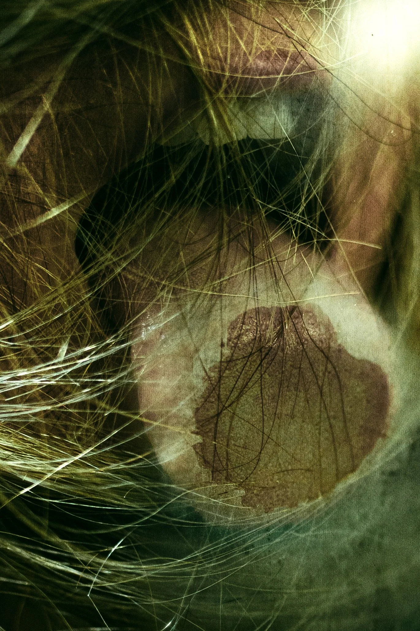 hair-gross-prints.JPG