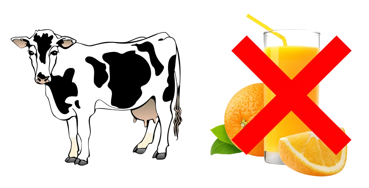 You can’t milk orange juice from a cow.
