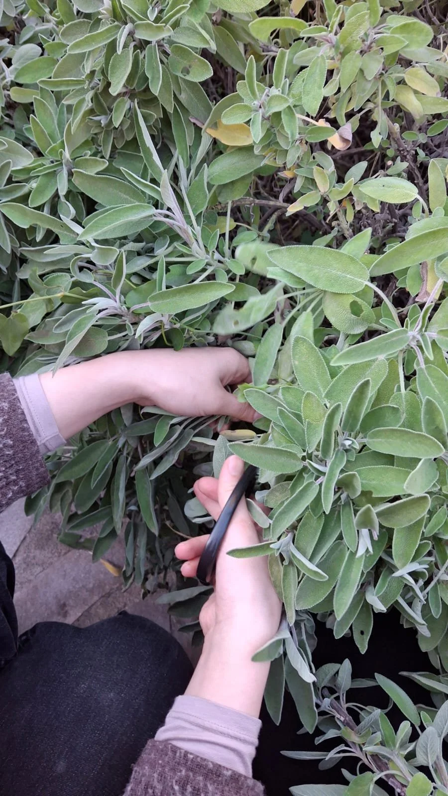 WhatsApp Image 2025-12-15 at 10.39.05 PM (1).jpeg