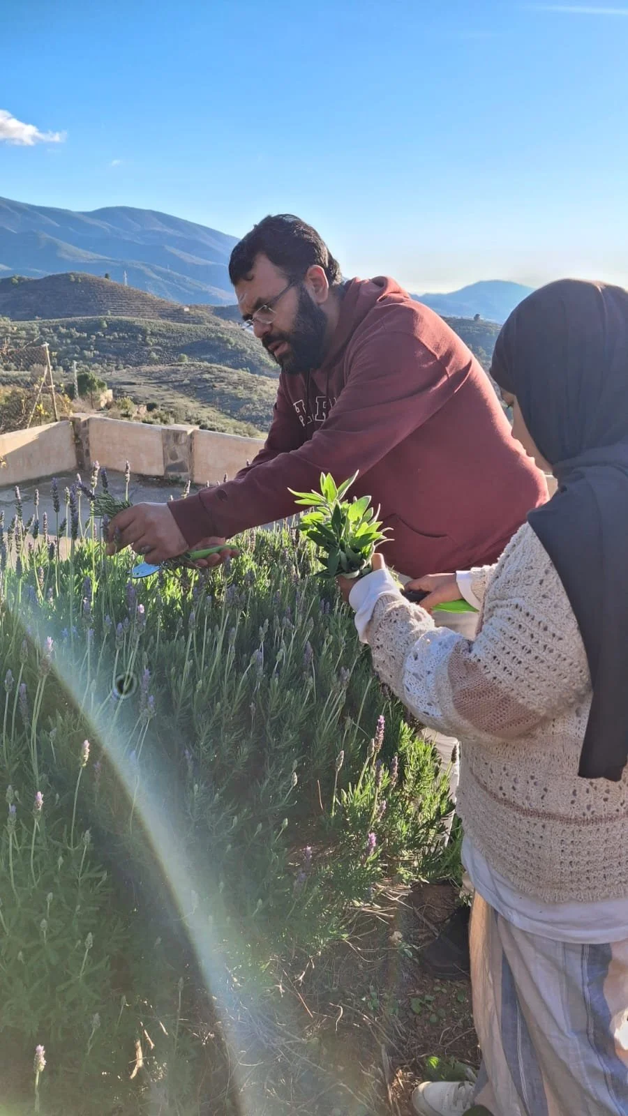 WhatsApp Image 2025-12-15 at 10.39.05 PM (3).jpeg