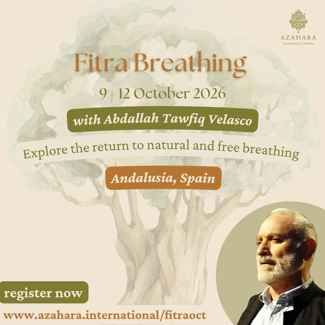 English - Fitra Promo (49).png