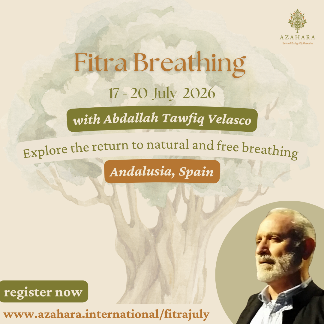 English - Fitra Promo (42).png