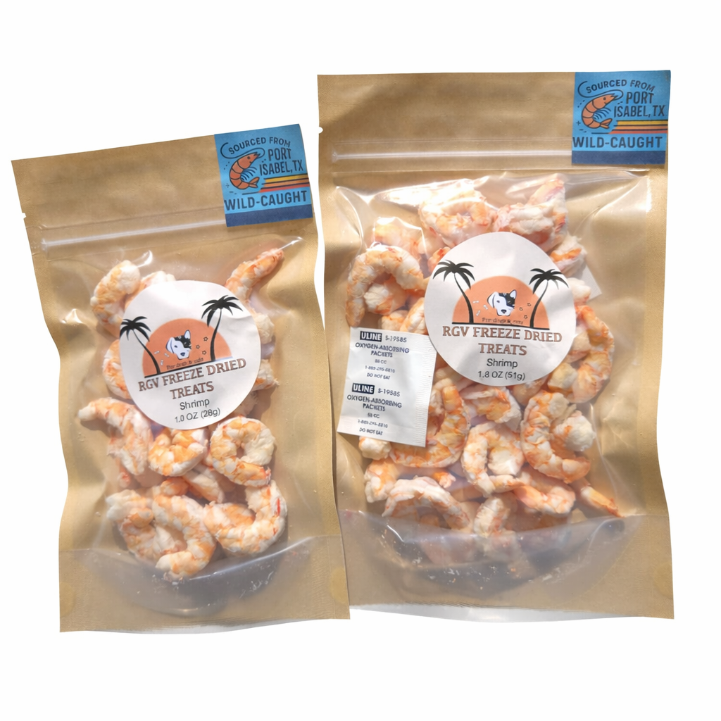 ChatGPT Image Feb 17, 2026, 07_12_11 AM.png