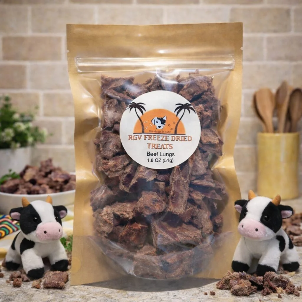 WhatsApp Image 2026-02-17 at 6.38.16 AM (1).jpeg