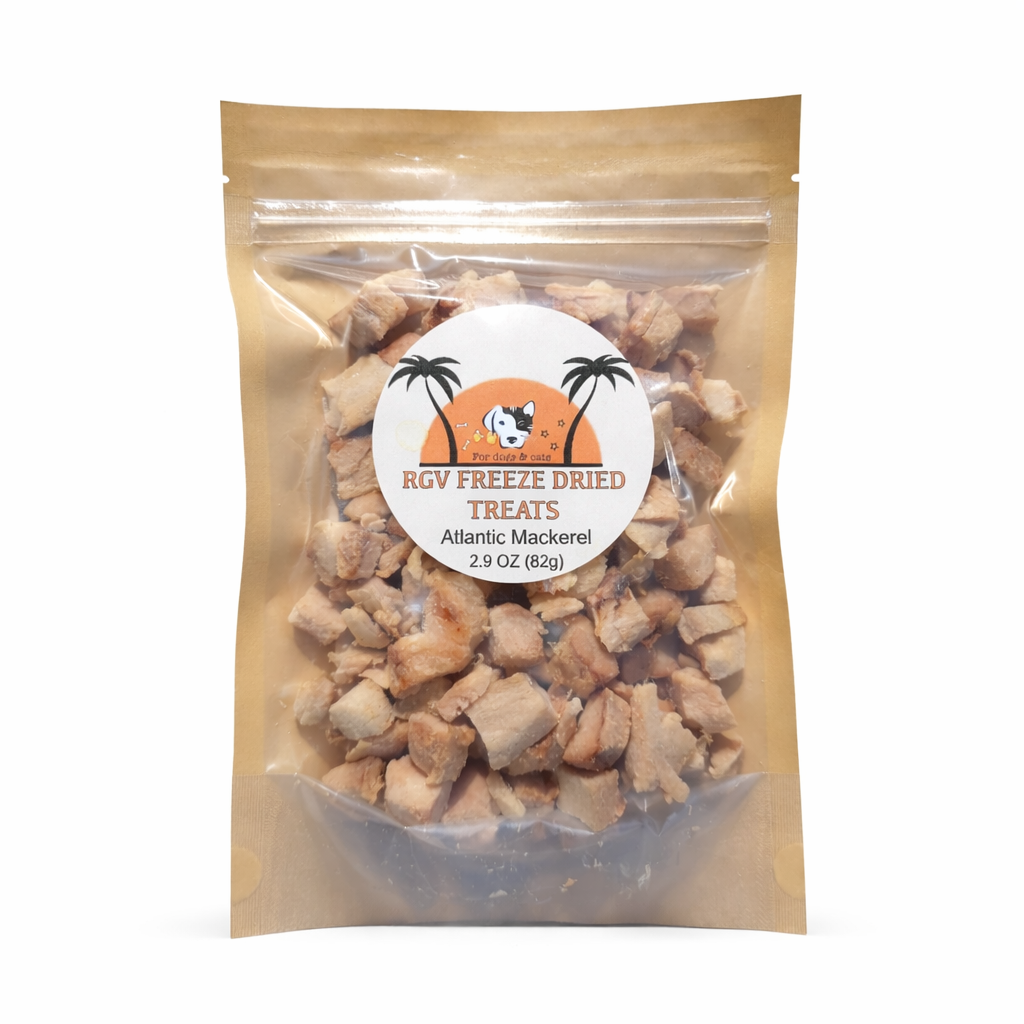 ChatGPT Image Feb 16, 2026, 05_22_09 PM.png