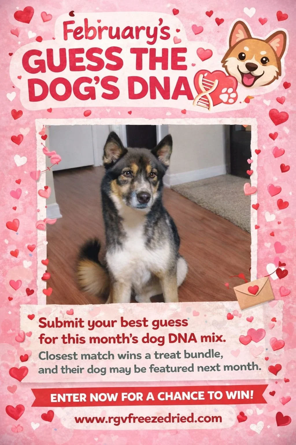 WhatsApp Image 2026-01-27 at 10.21.19 PM.jpeg