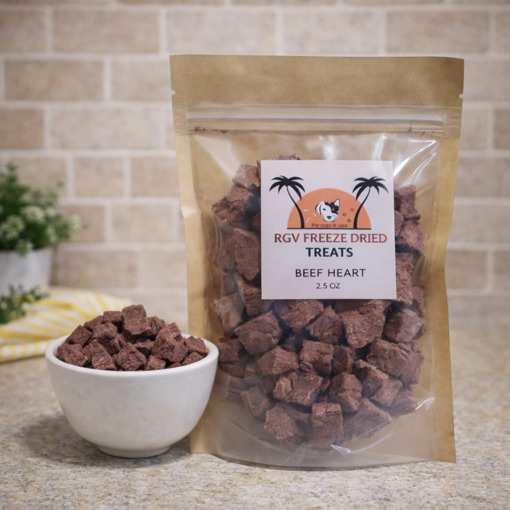 ChatGPT Image Feb 17, 2026, 07_34_46 AM.png