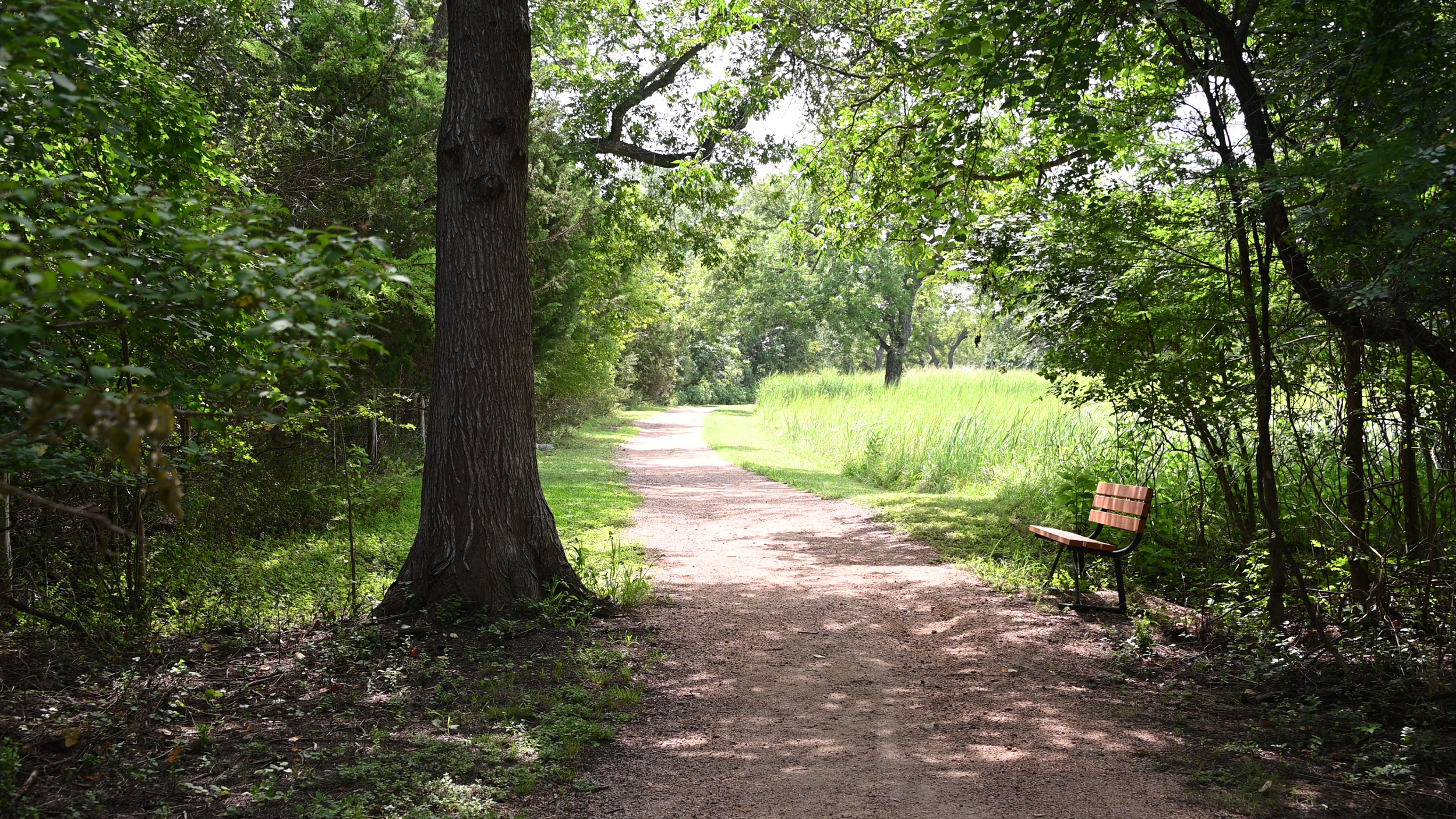 Hike/ Bike/ Stroll at LBJ Ranch