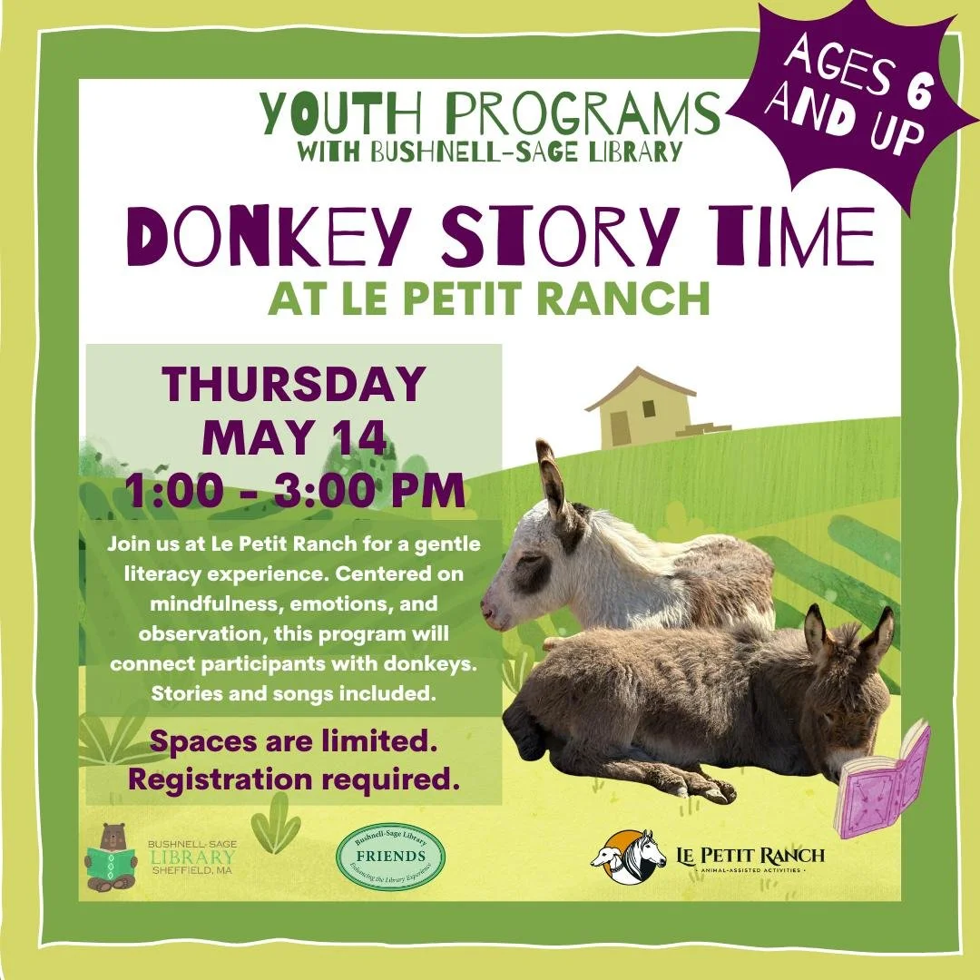 Donkey Storytime