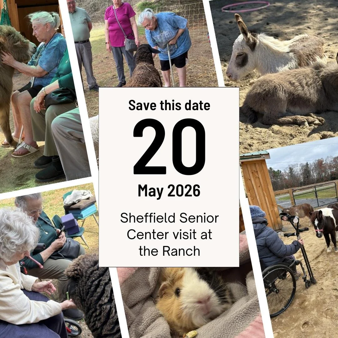 Senior Visit at the Ranch