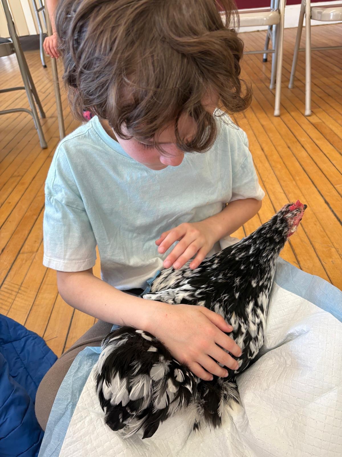 Chicken Storytime