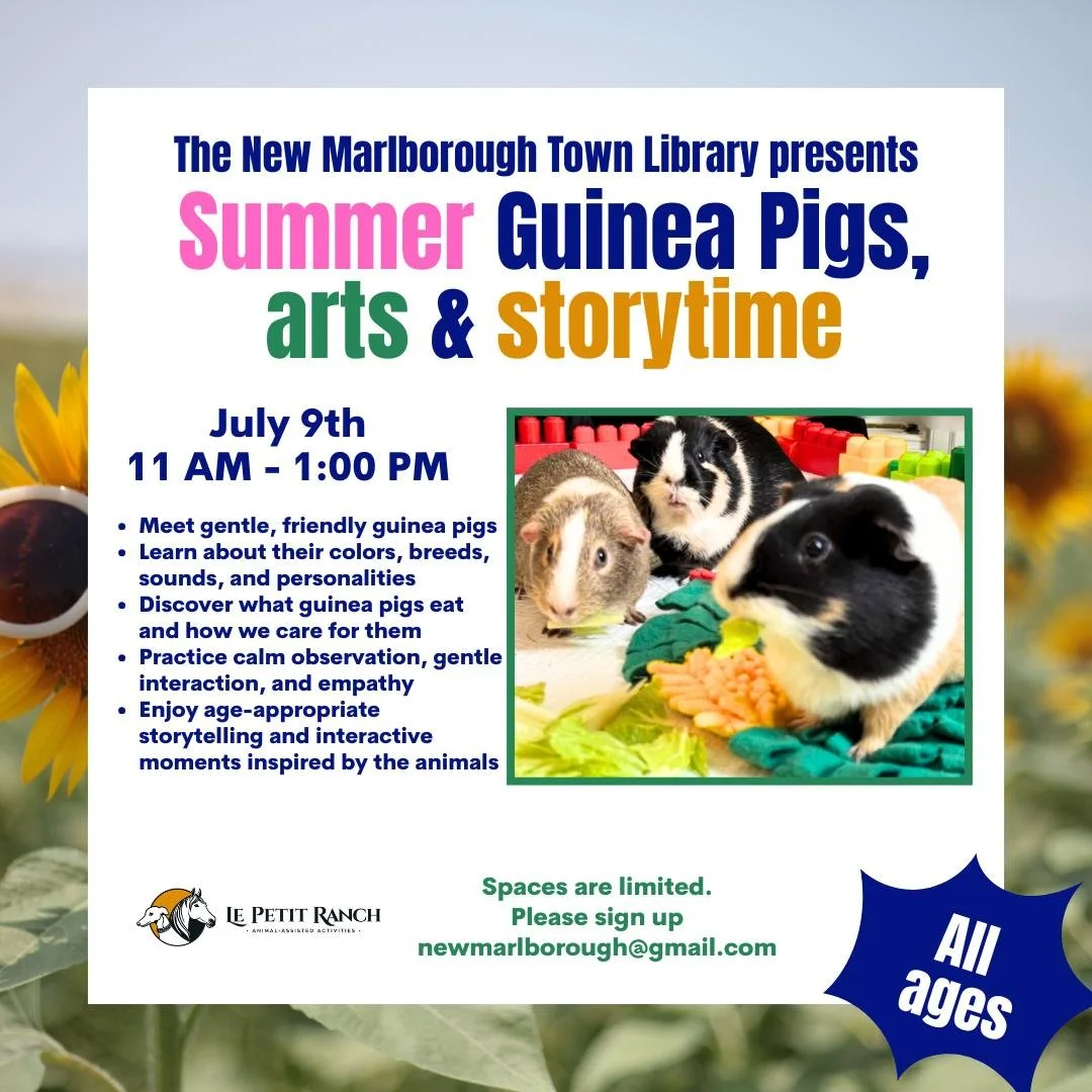 Summer Guinea Pig Art & Storytime