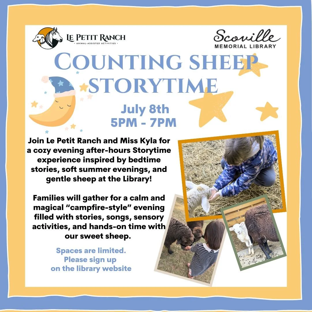 Counting Sheep, A goodnight storytime with real sheep at the Library !