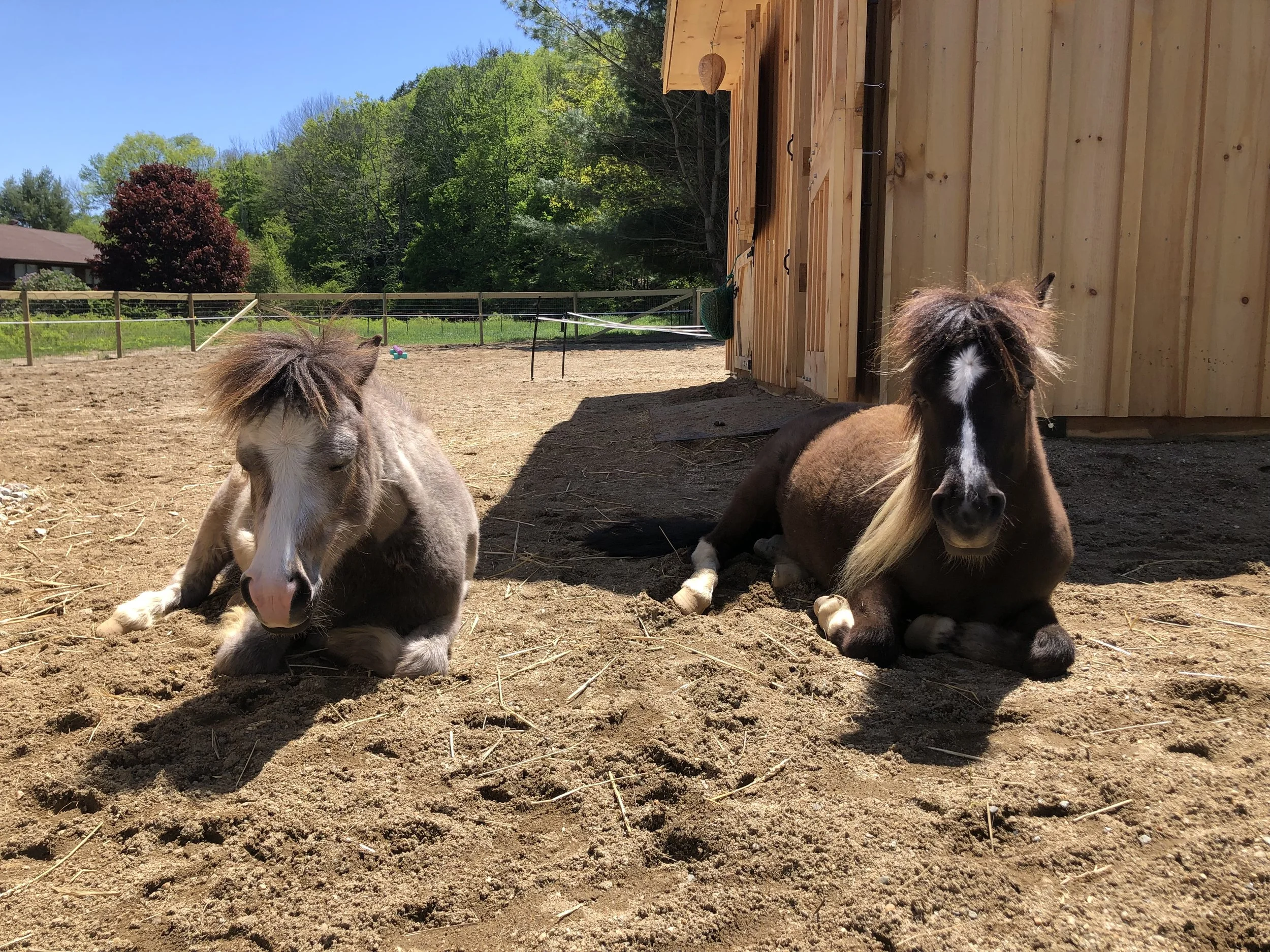 Yoga at the Ranch NEW DATES