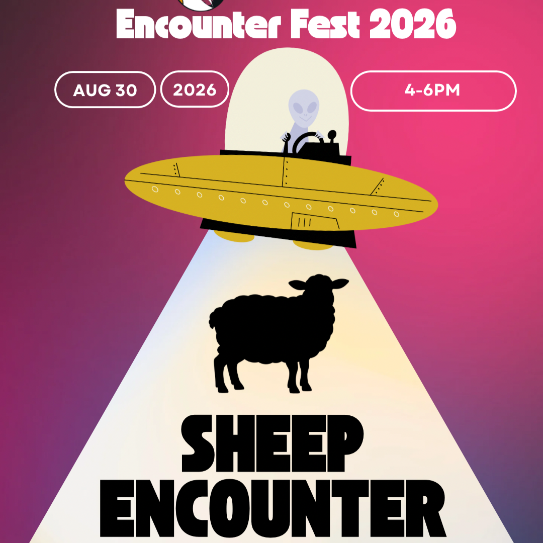 Sheep Encounter