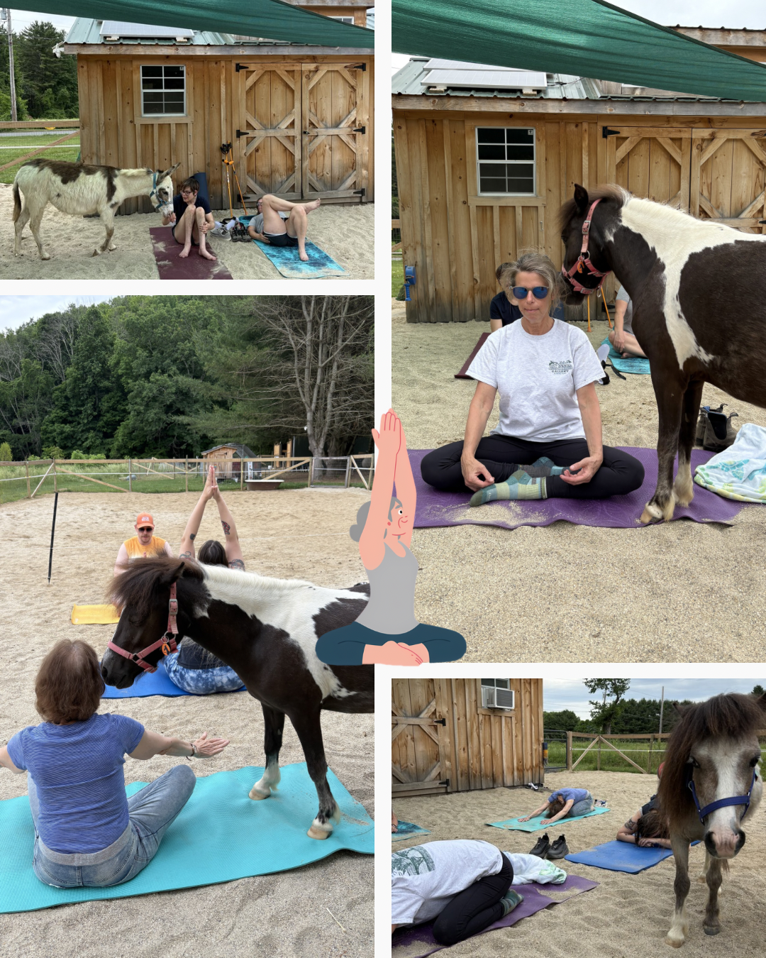 Family Wellness Retreat