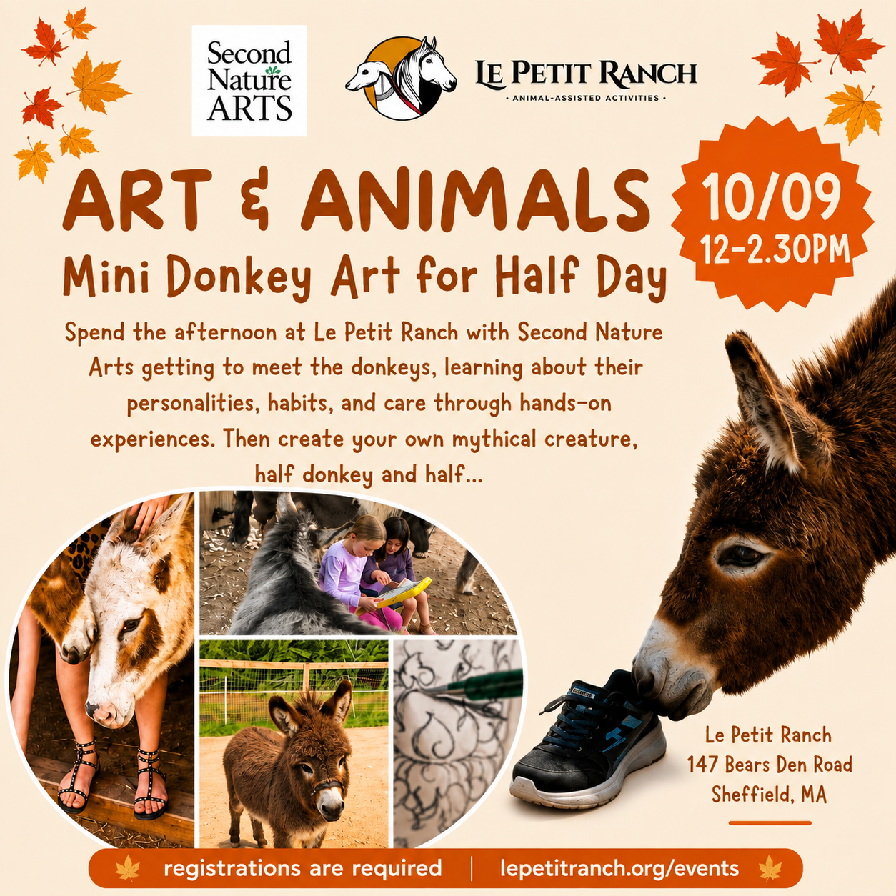 HALF-DAY SCHOOL Mini Donkey &amp; Art at the Ranch