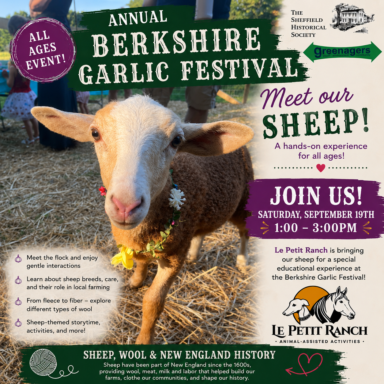 SHEEP ENCOUNTER AT THE BERKSHIRE GARLIC FESTIVAL