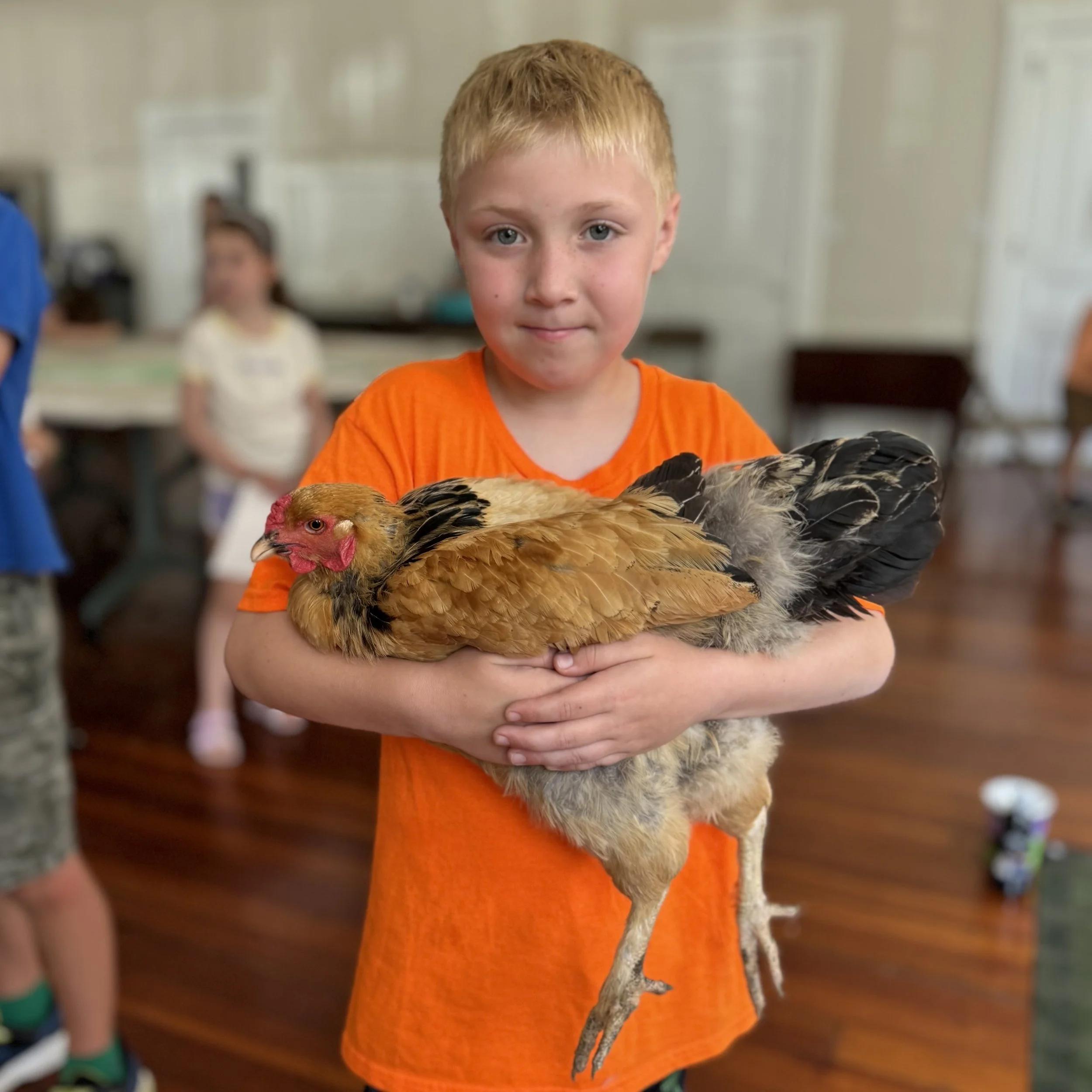 Chick or Treat at the RICHMOND Library 