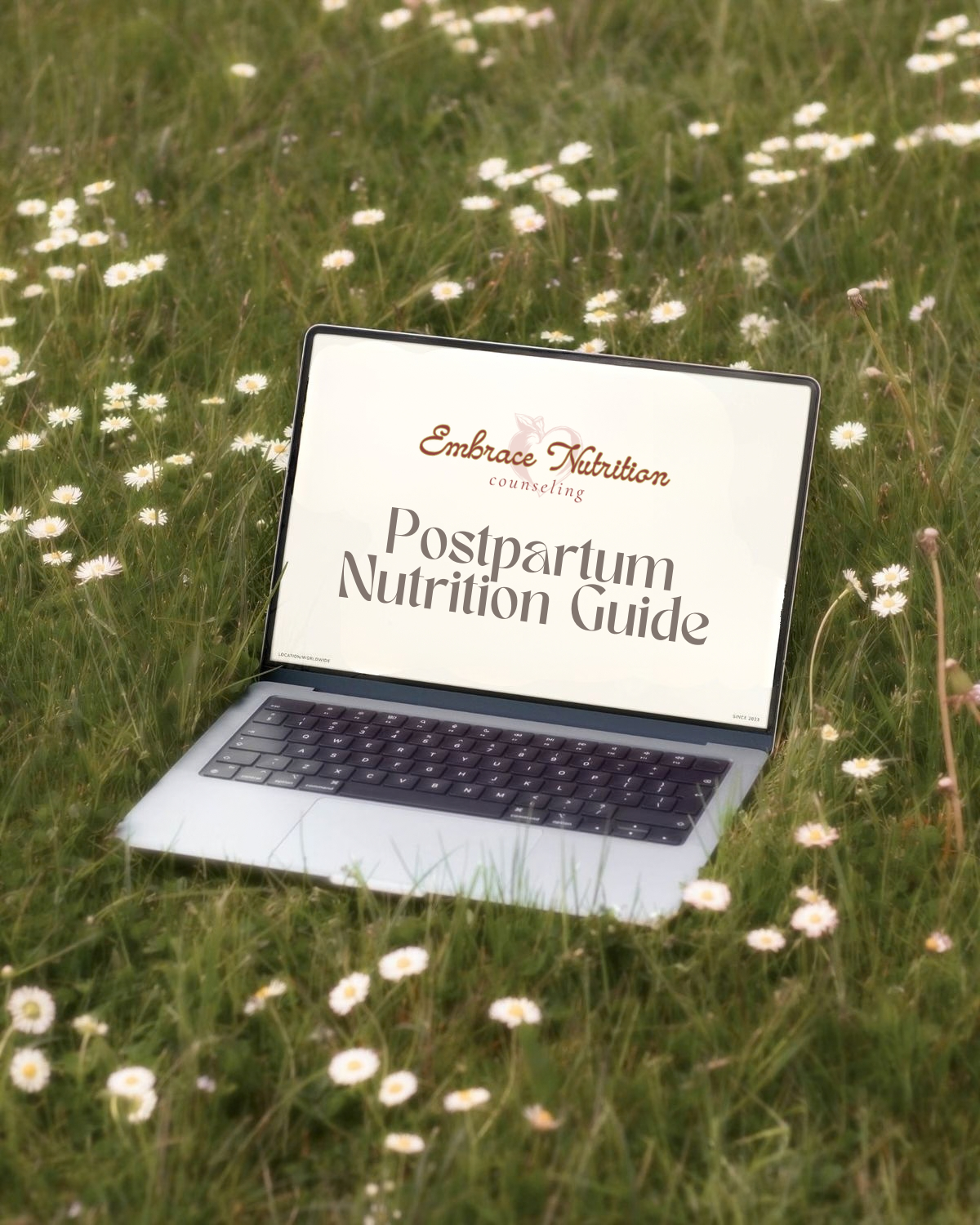 The Postpartum Nutrition & Recovery Guide: An Evidence-Based Resource for Nourishing the Fourth Trimester