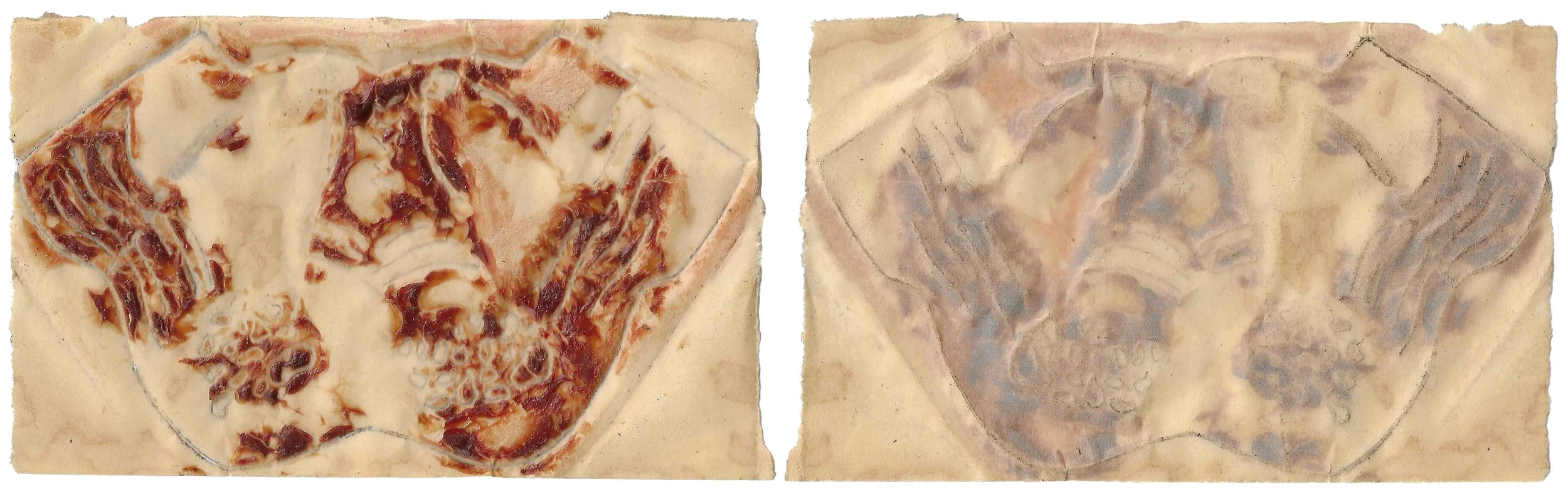 skin#23