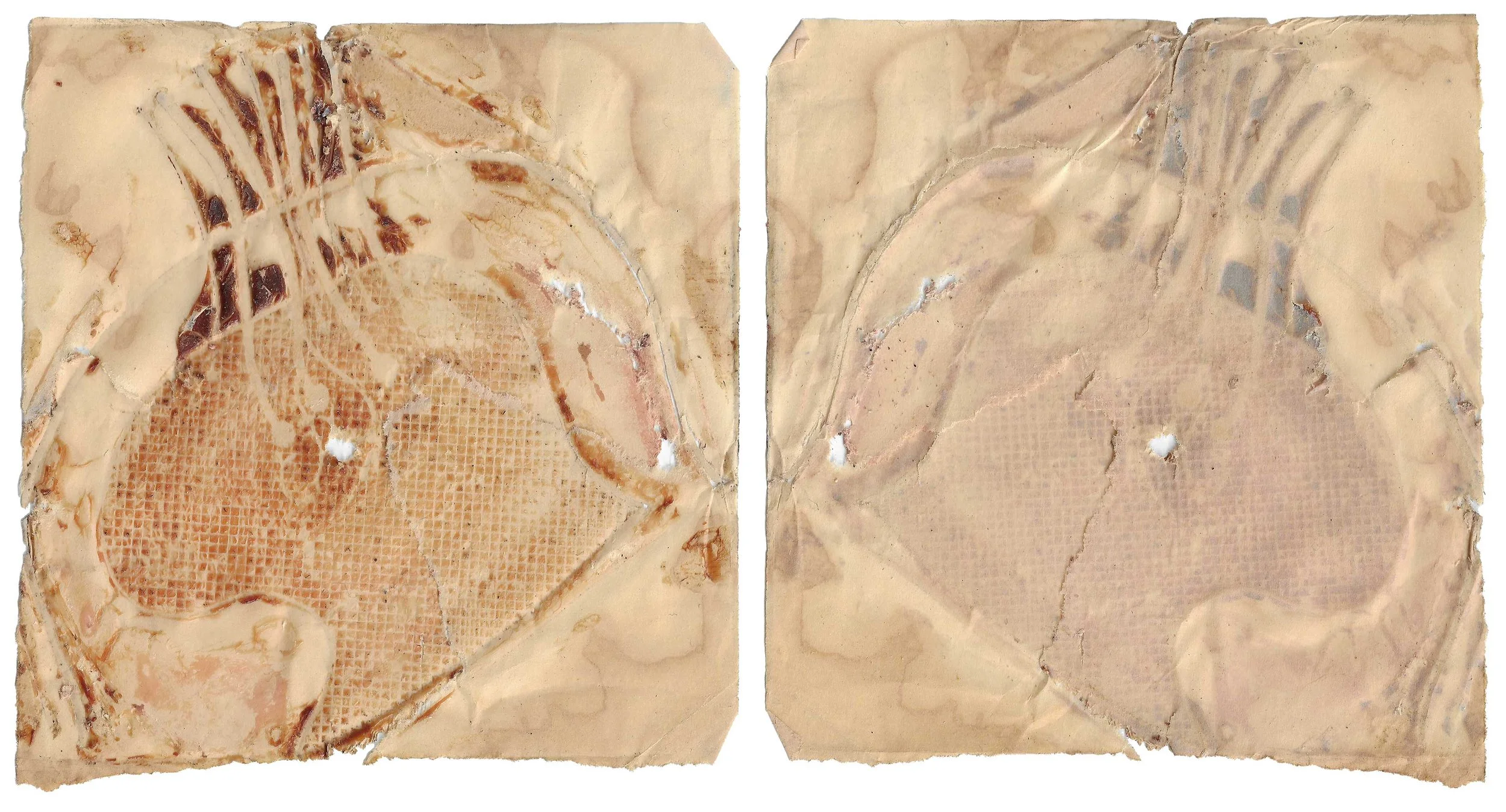 skin#16