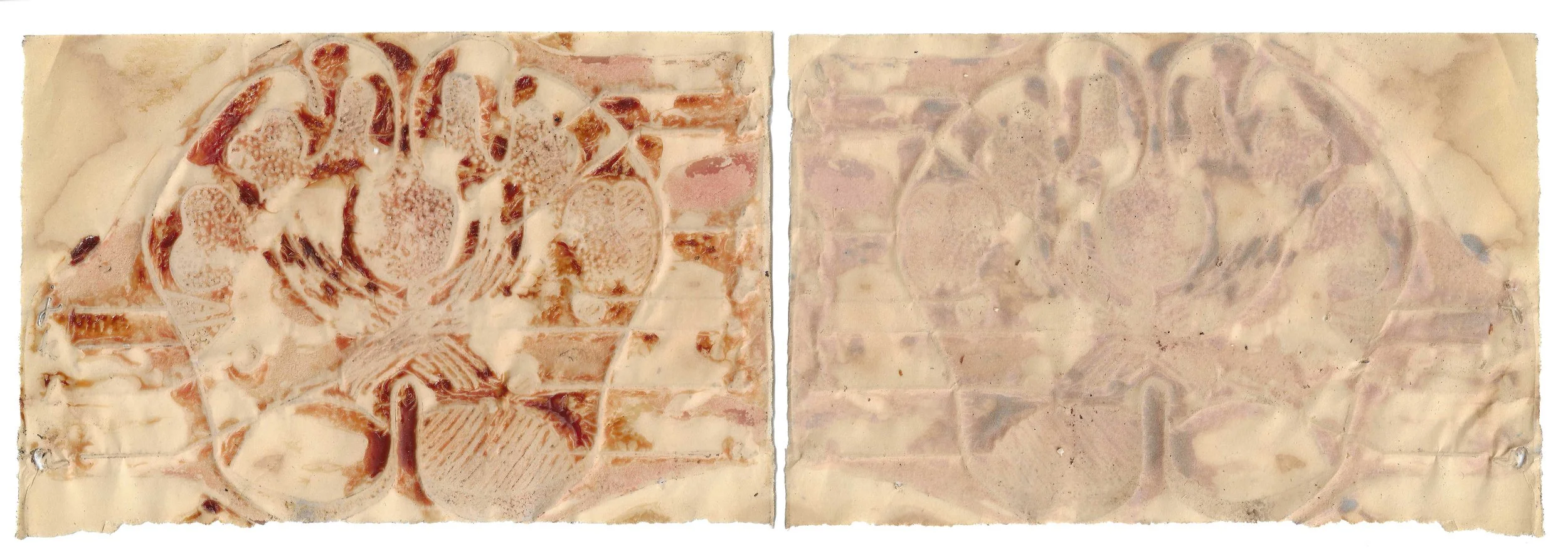 skin-paper#5