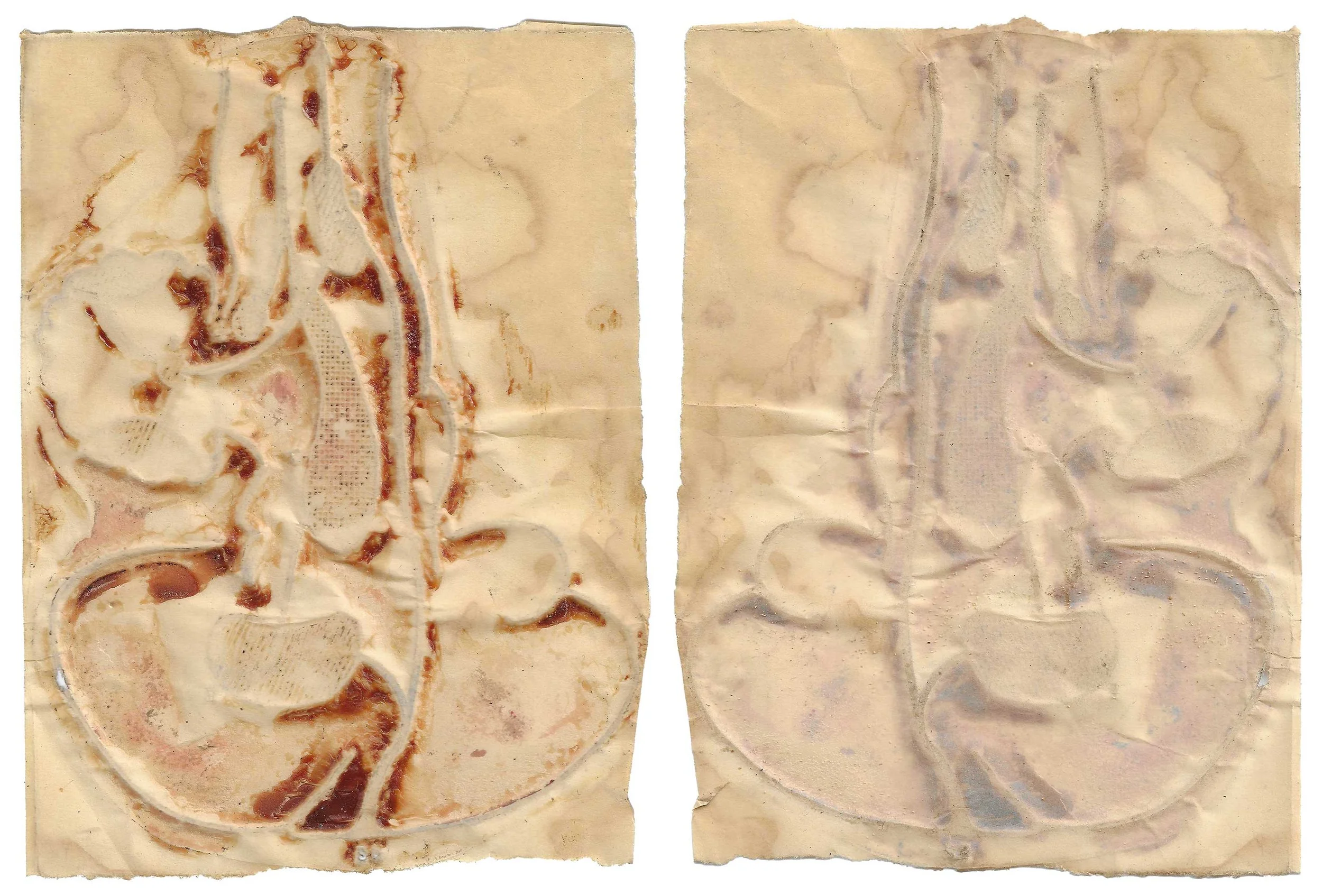 skin#14