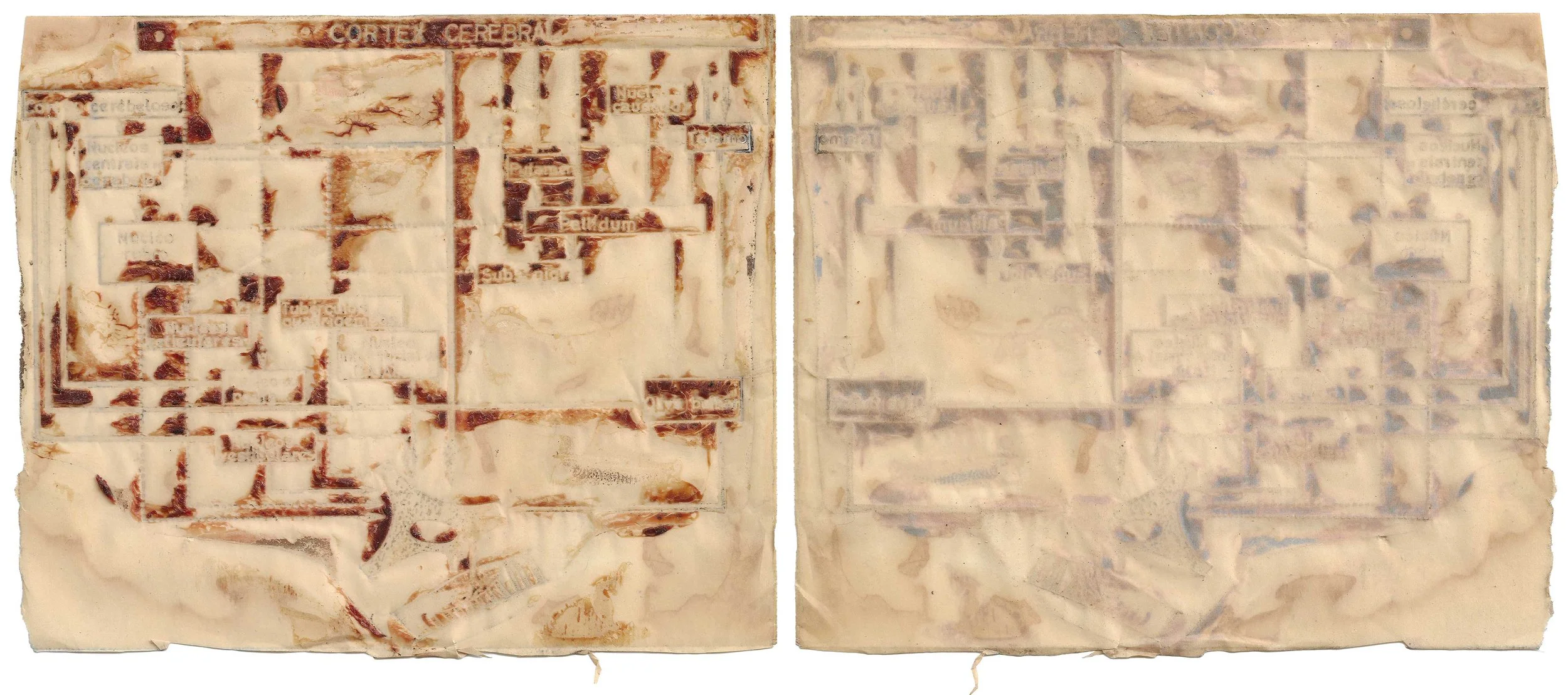 skin-paper#6
