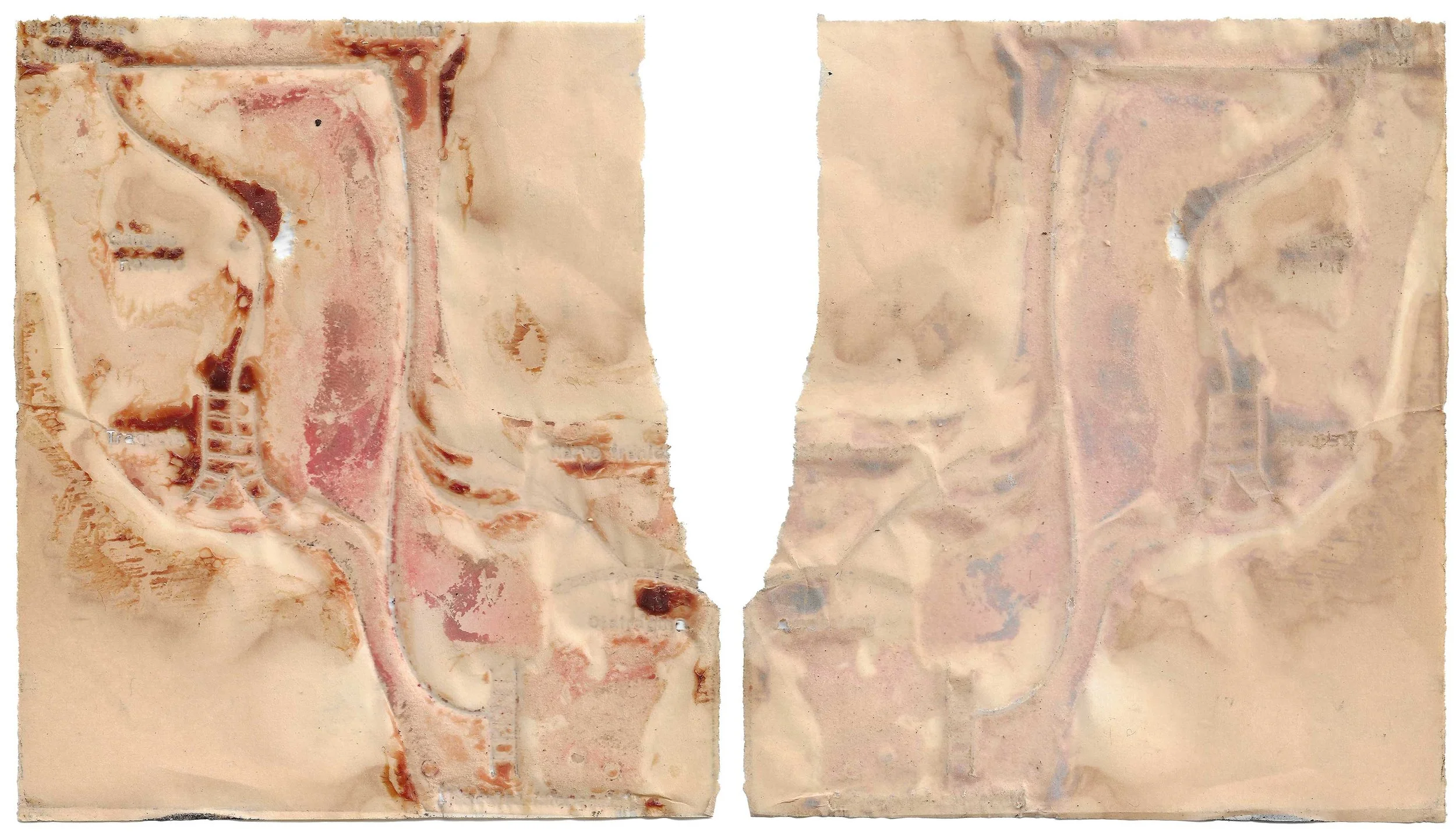 skin#39