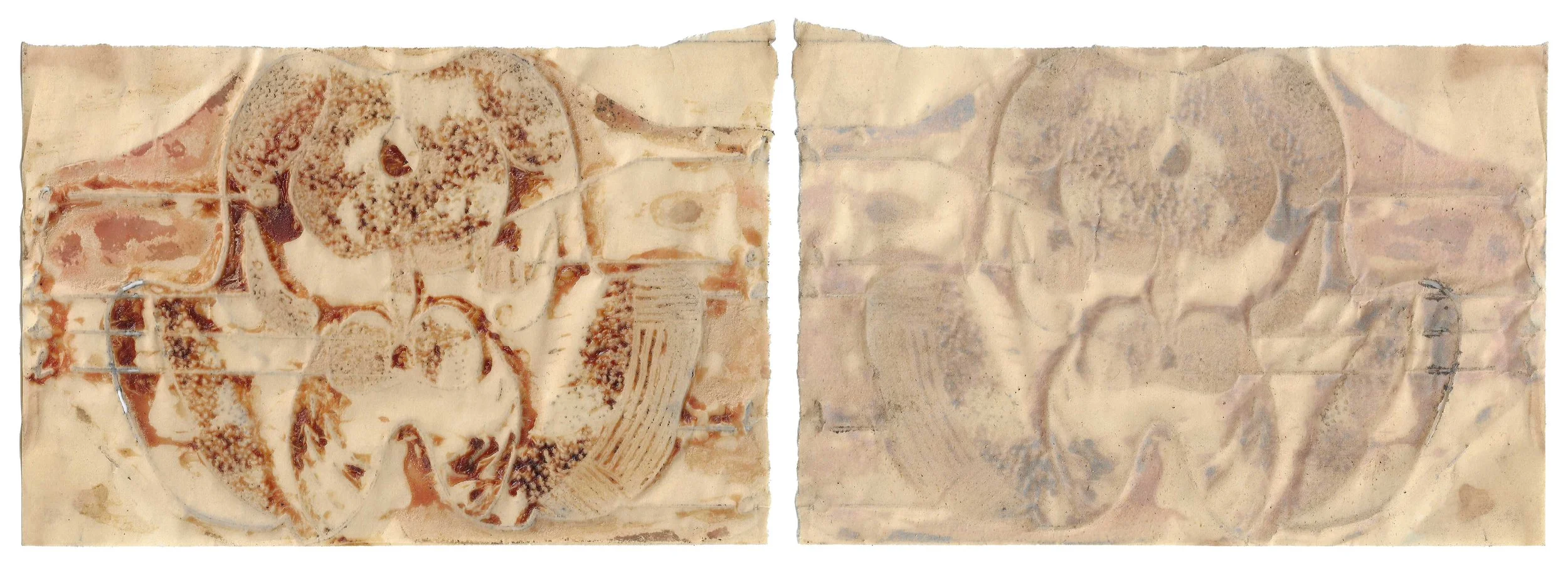 skin-paper#4