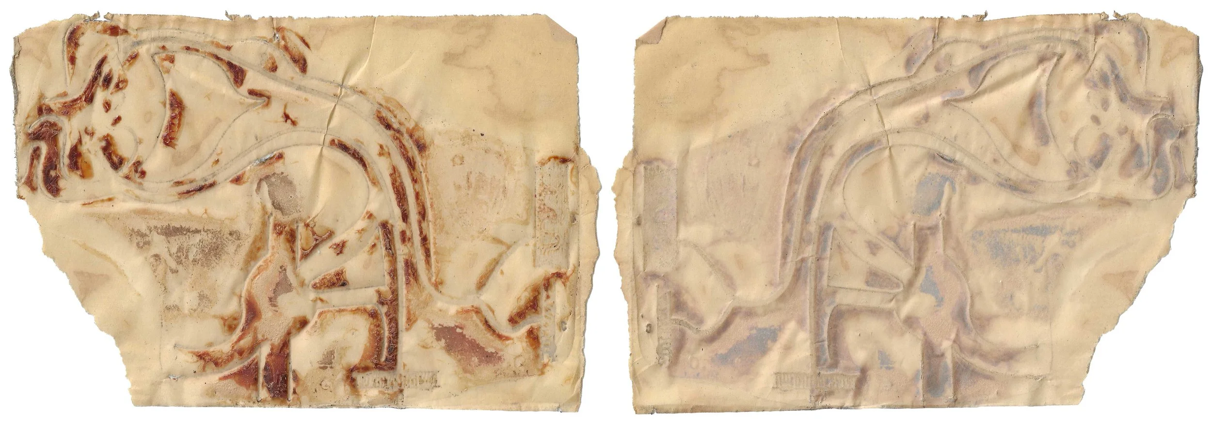 skin#42