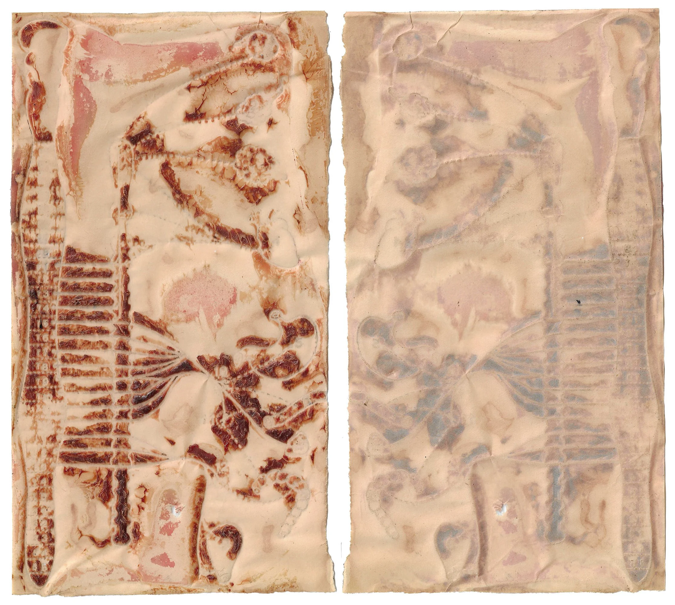 skin#21