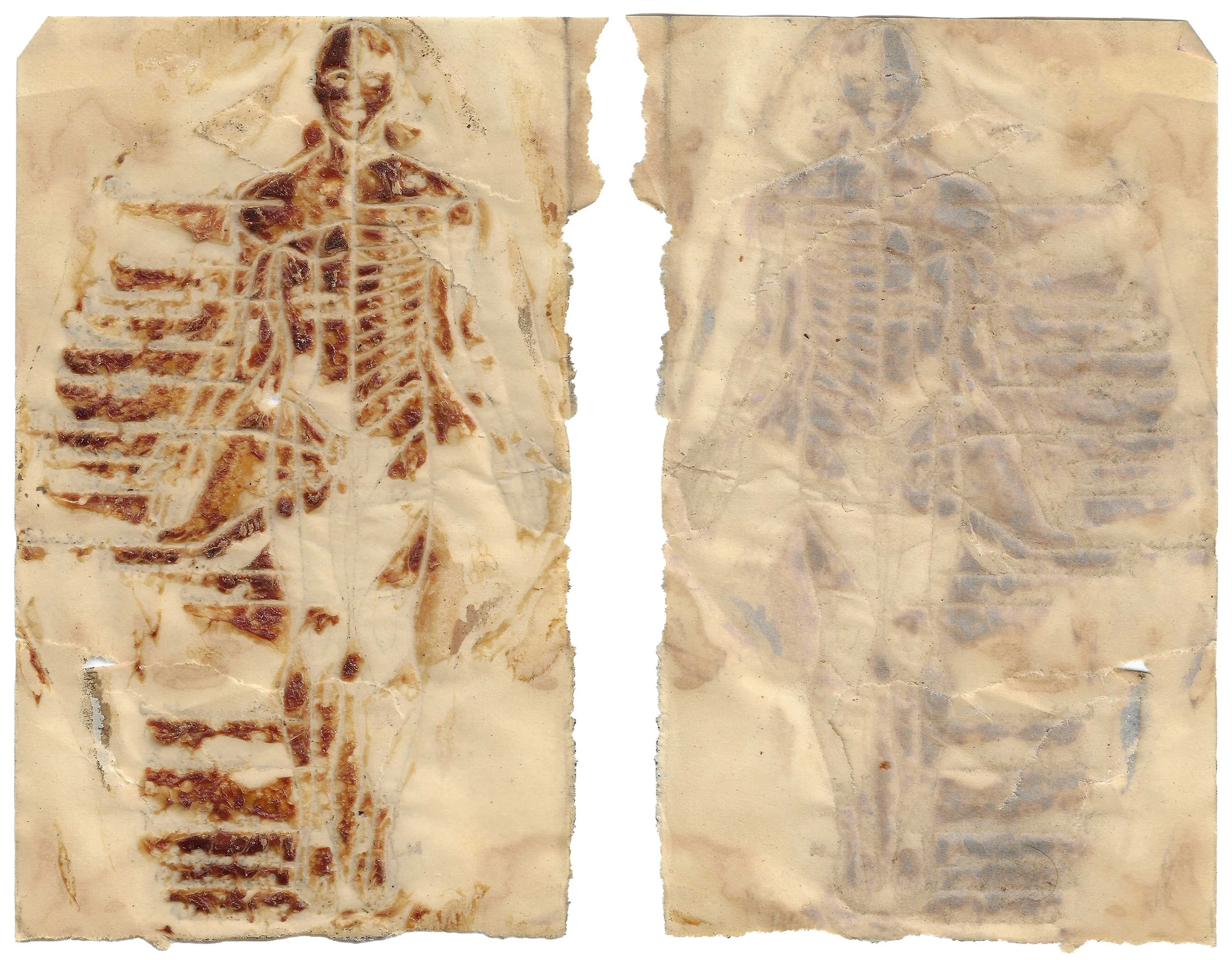 skin#17