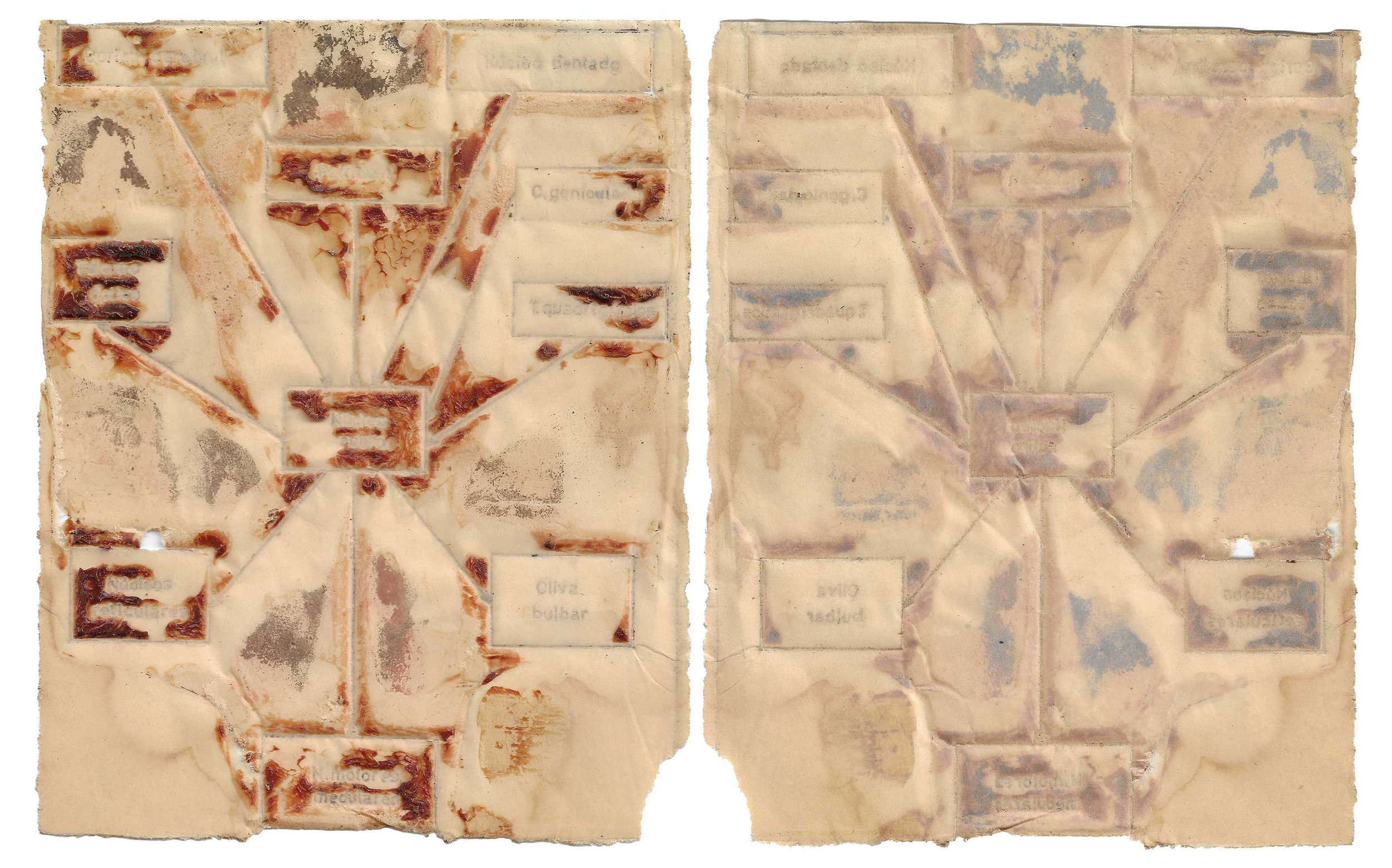 skin#10