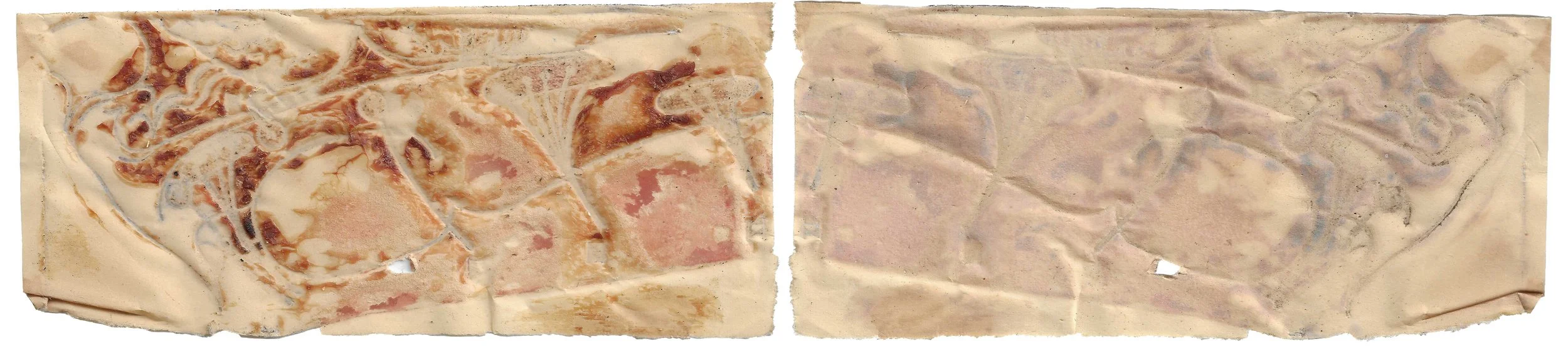 skin#77