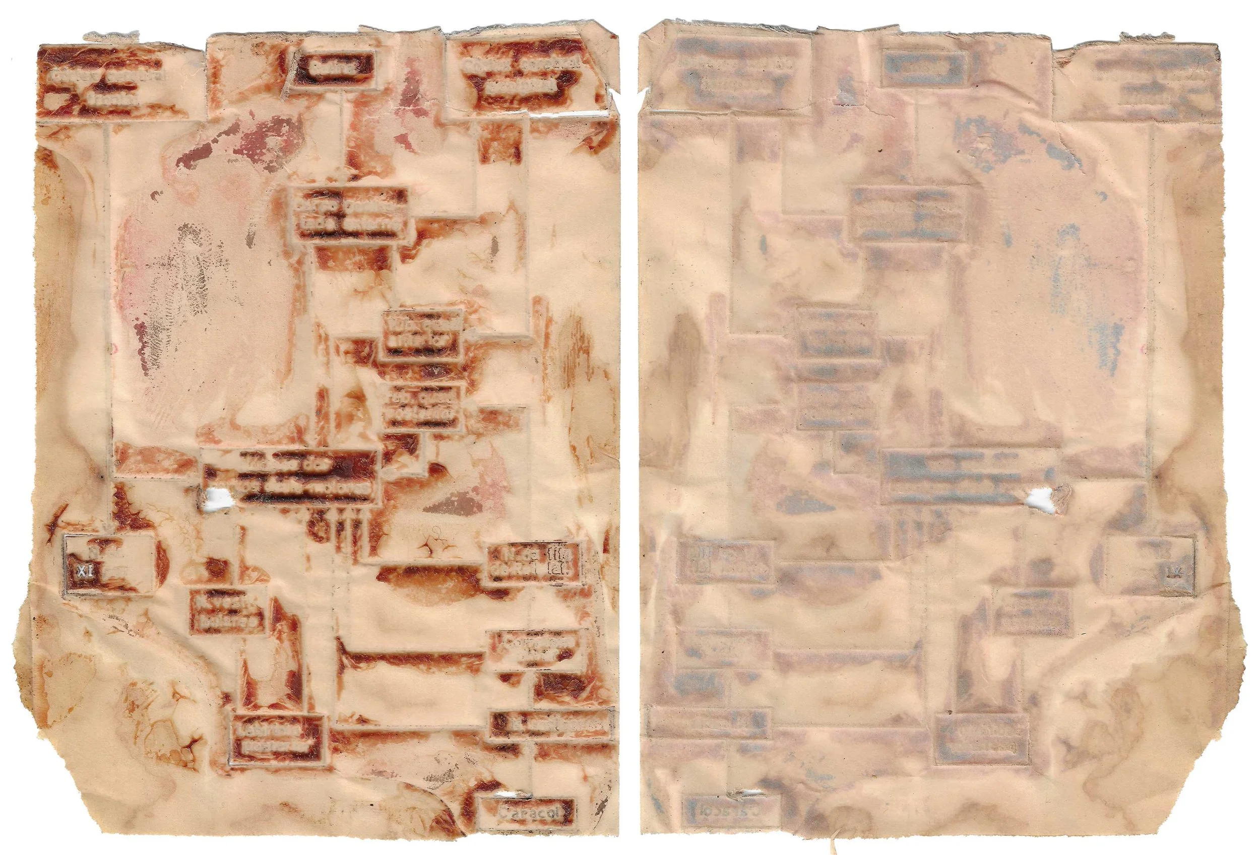 skin-paper#7
