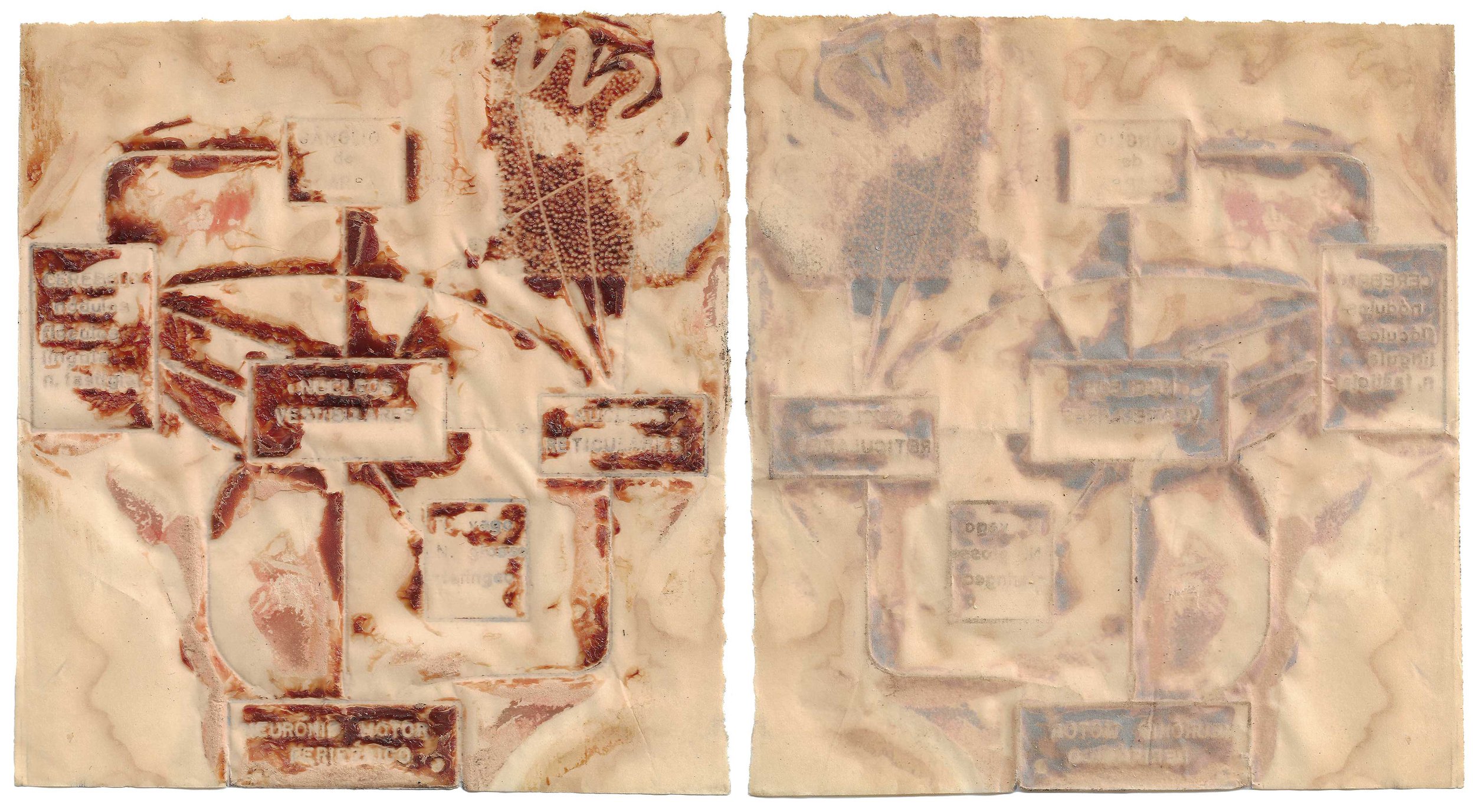 skin-paper#9