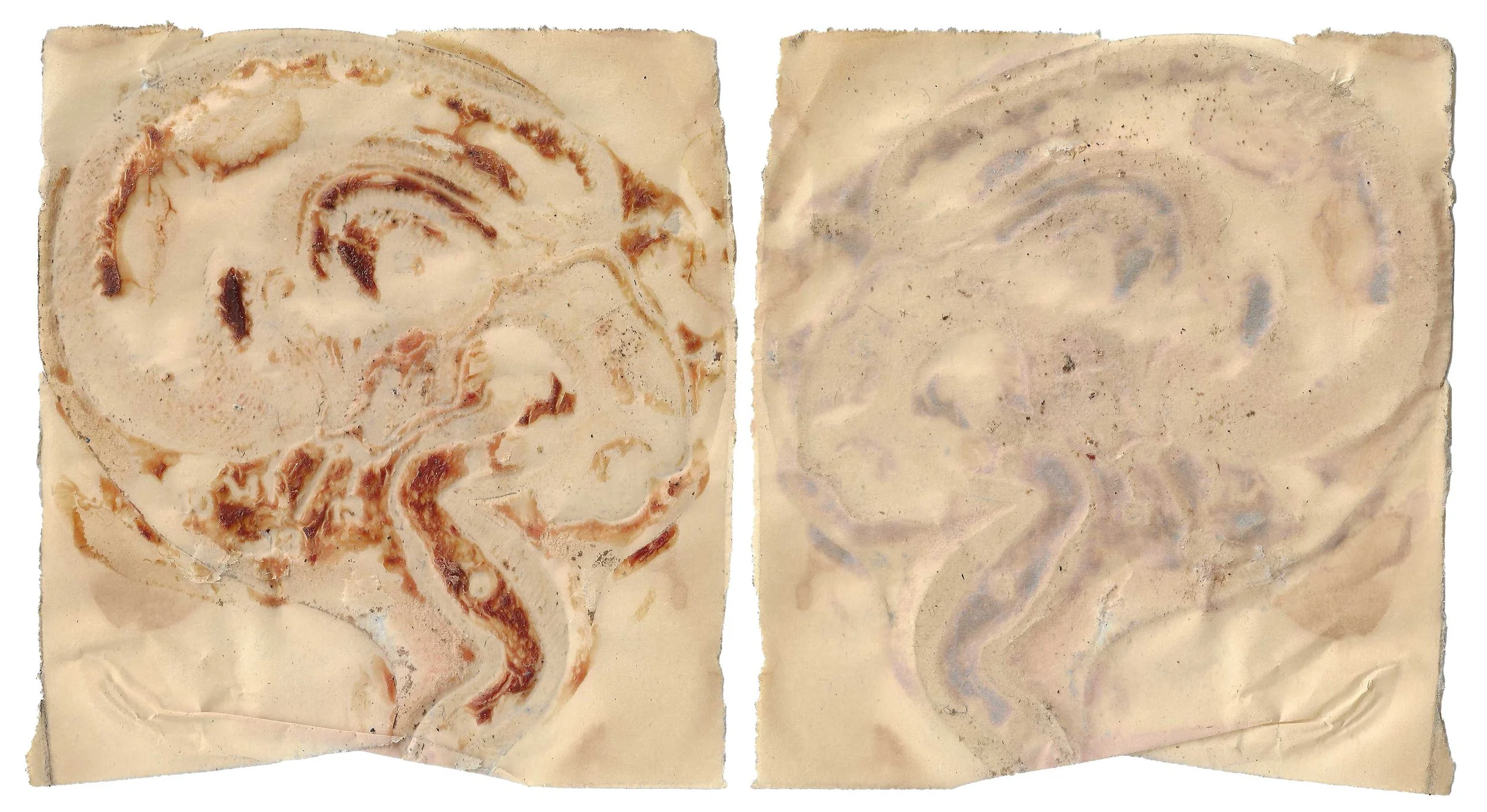skin#25