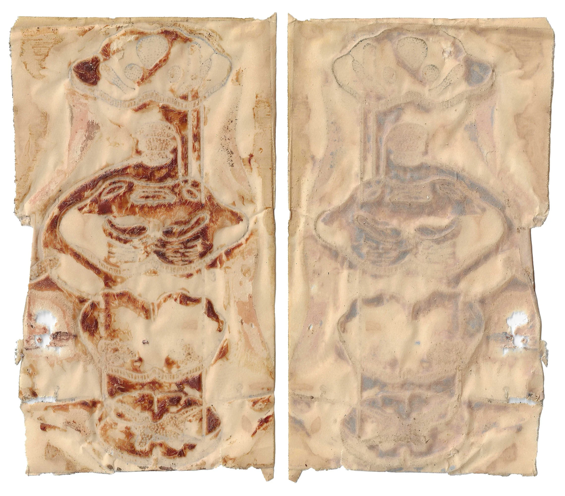 skin#35