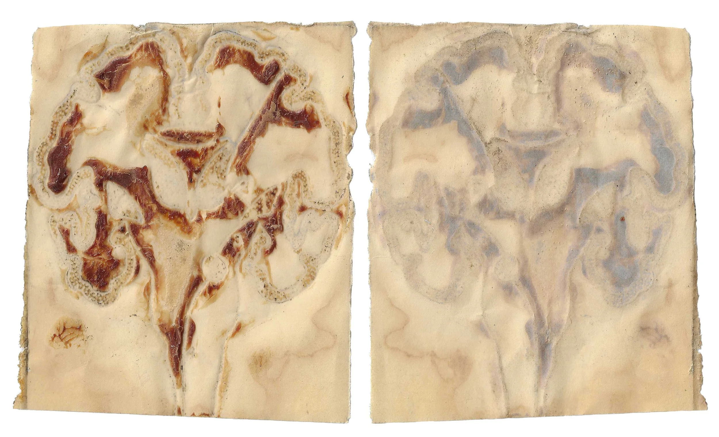 skin#26
