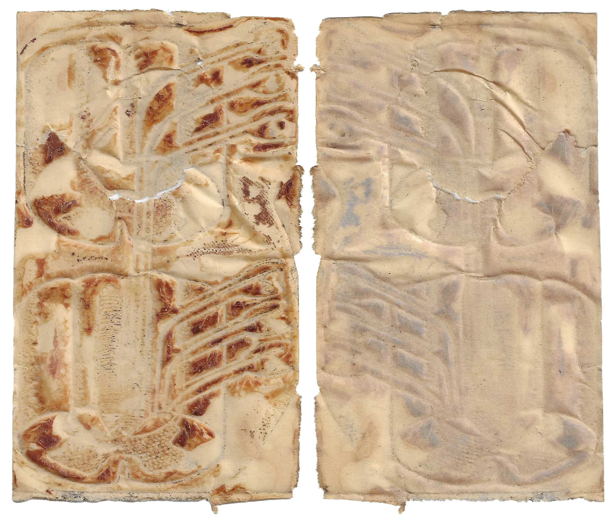 skin#81