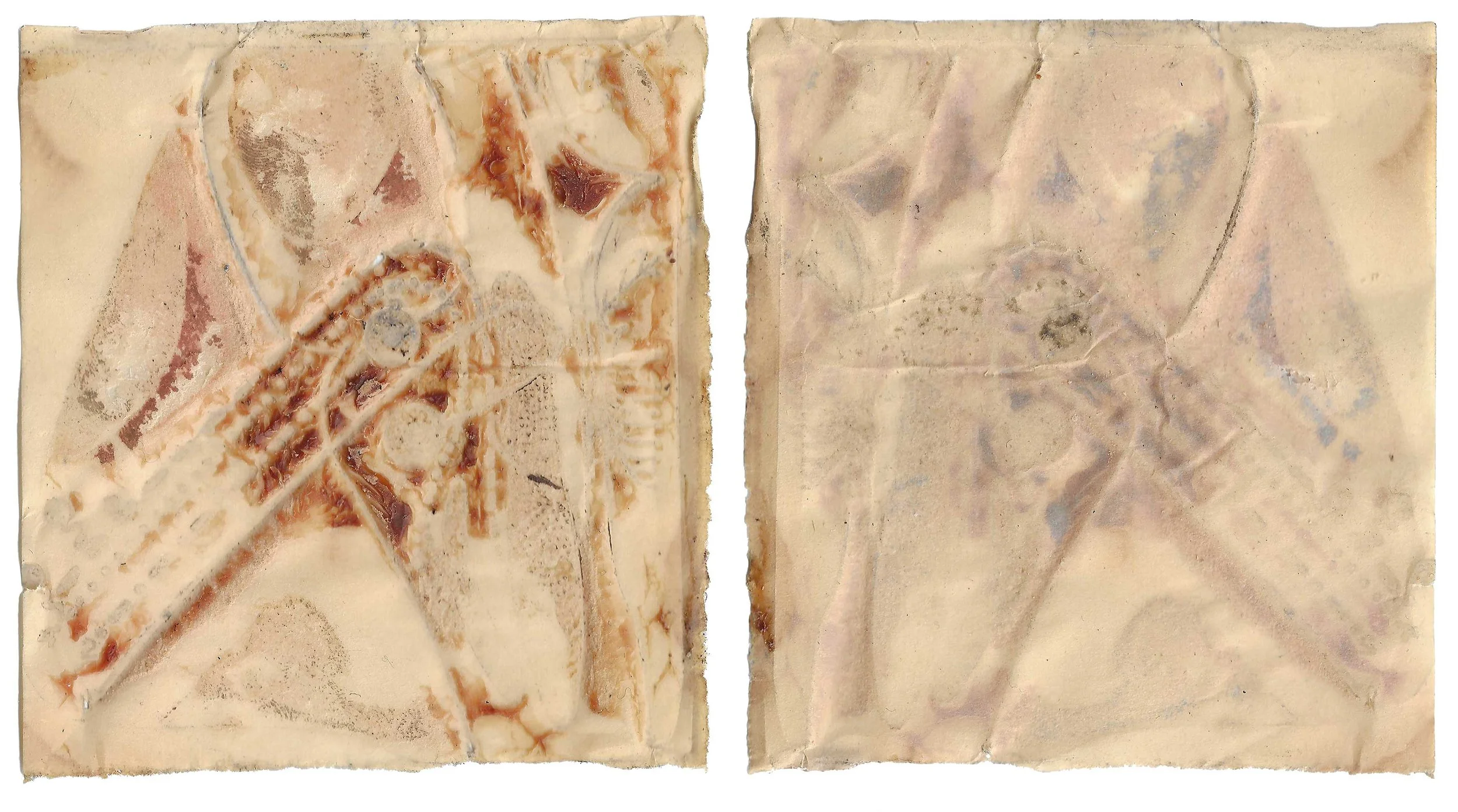 skin#51