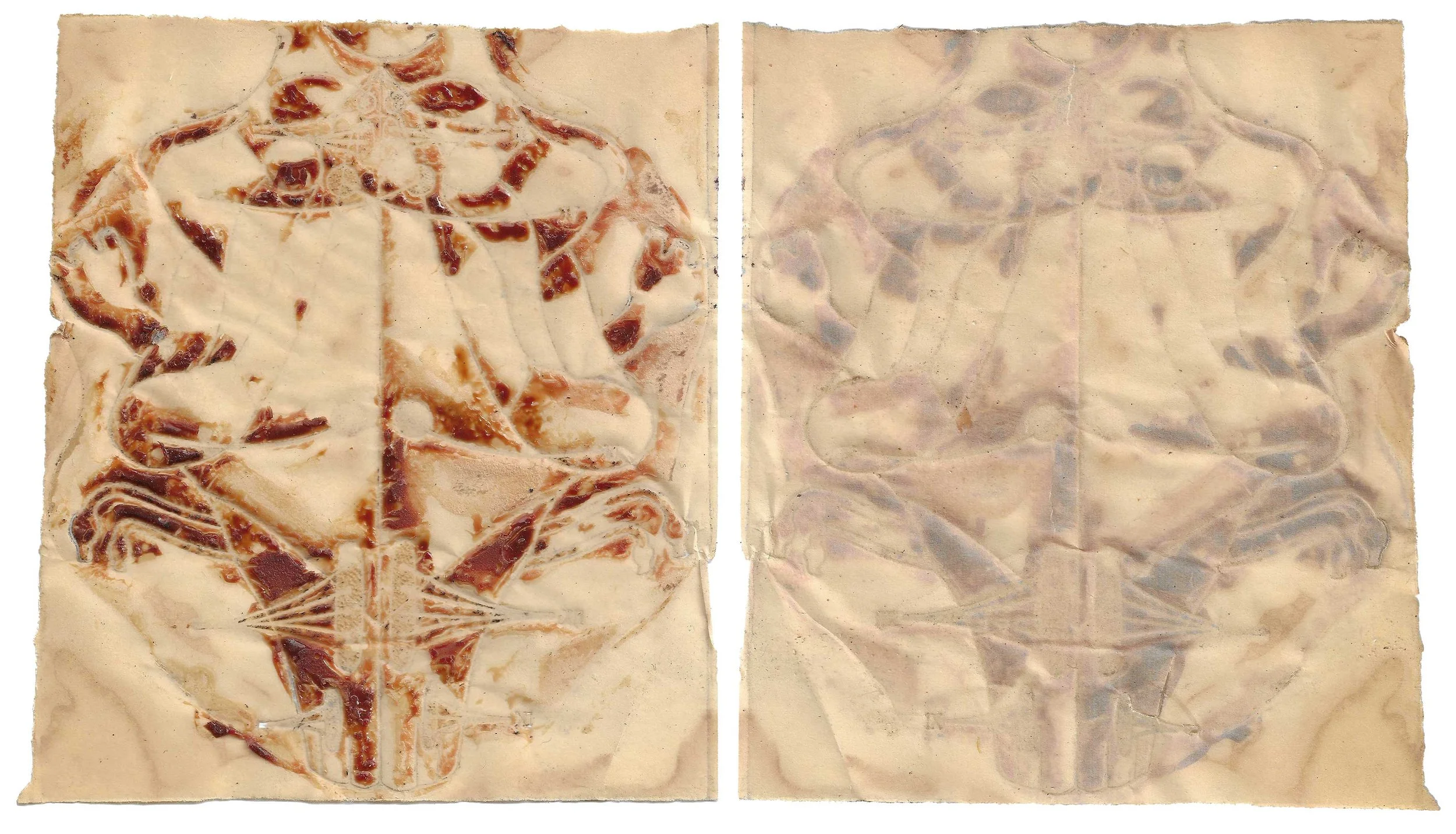 skin-paper#2