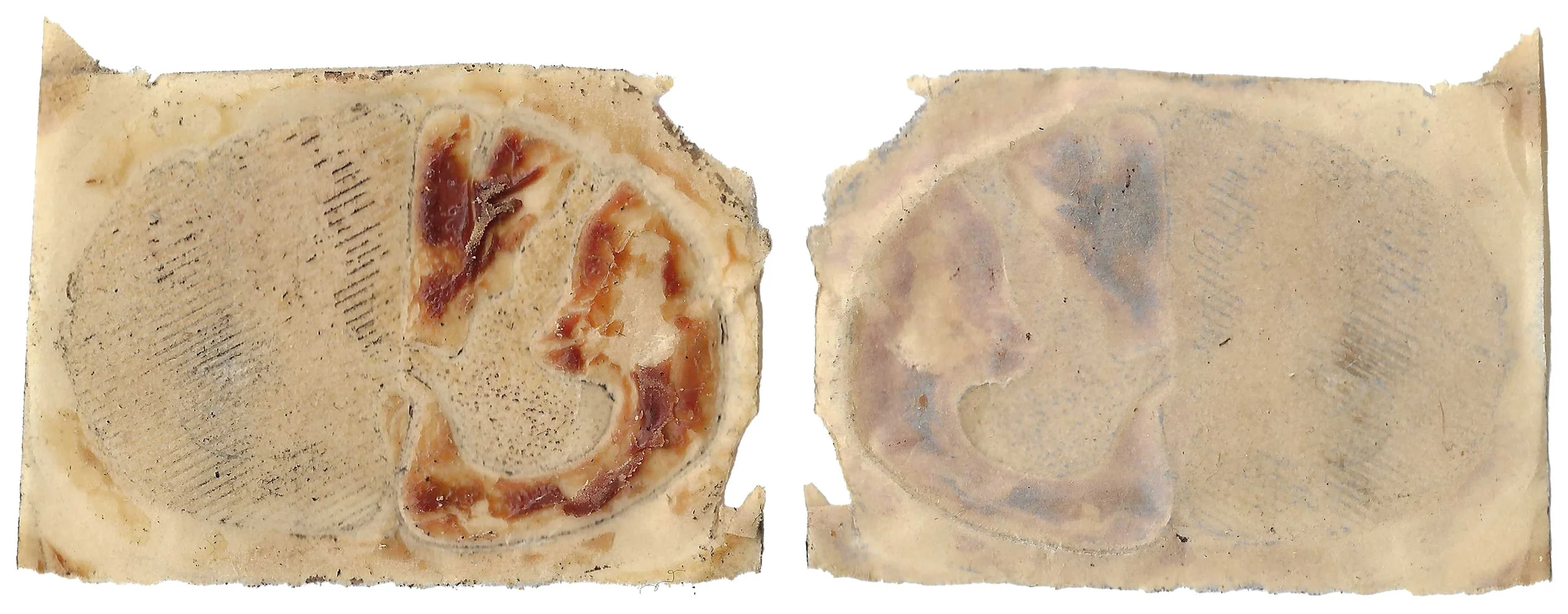 skin#64
