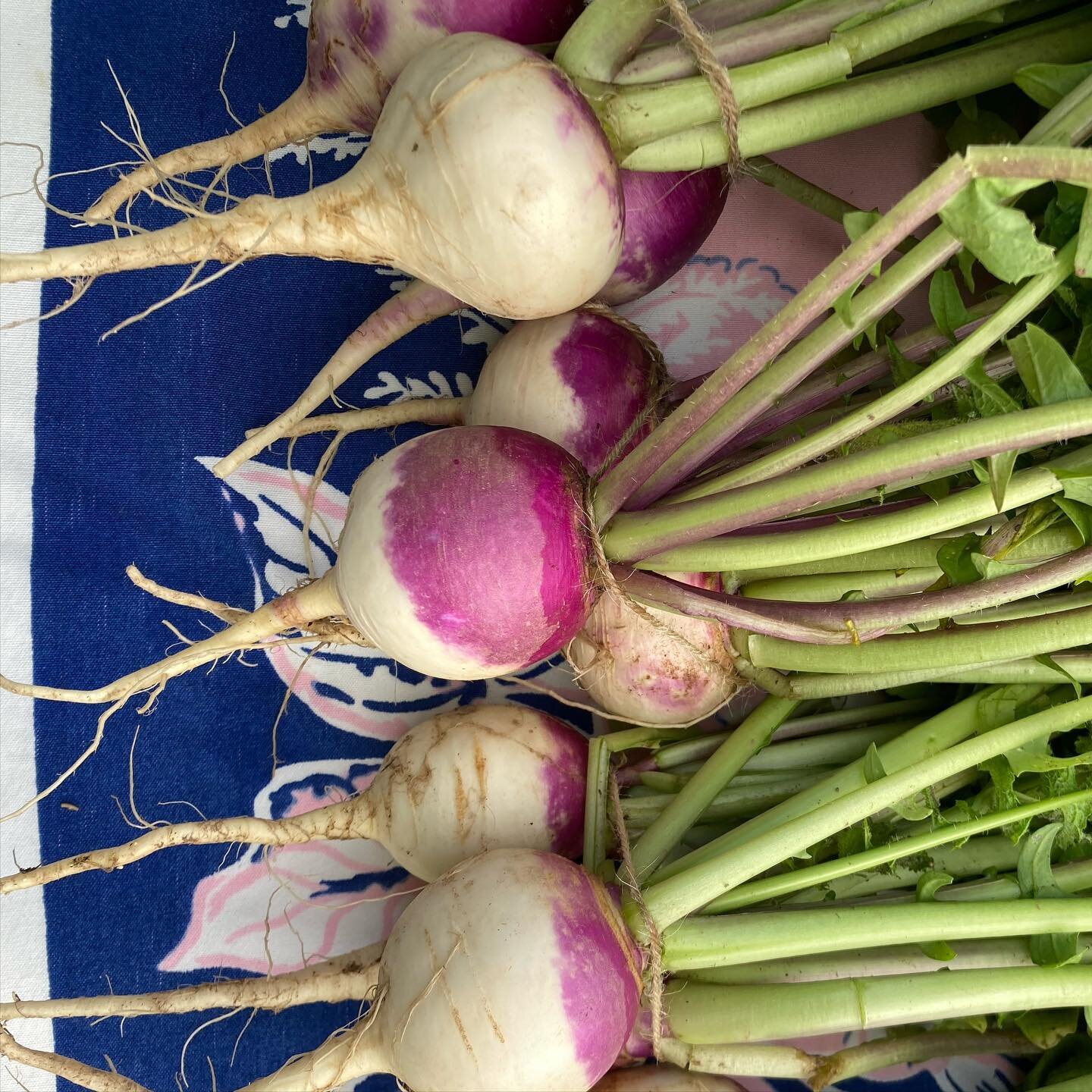 Cool season crops are back! (Whether you&rsquo;re ready for them or not). Stop by to get some beets and turnips and get ur roast on 🤙