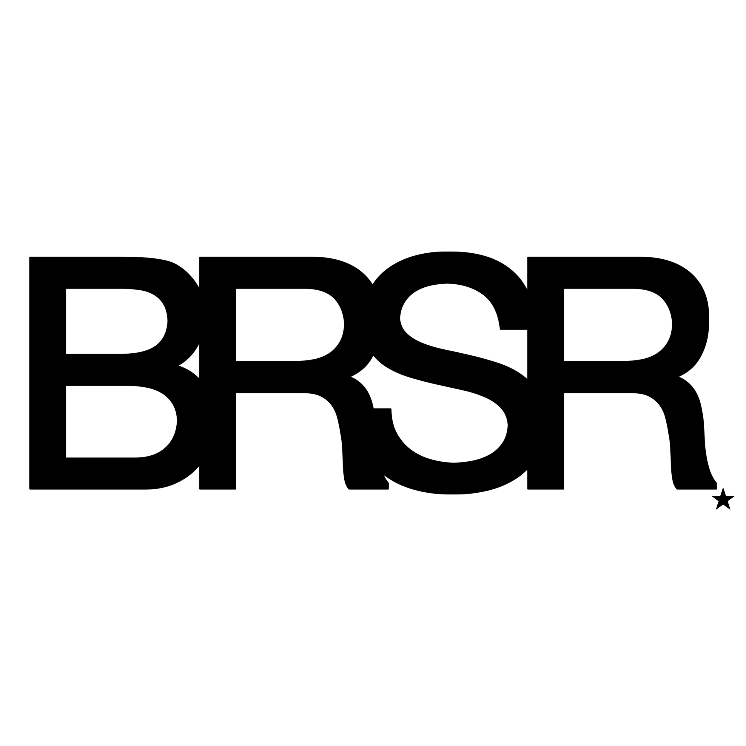 BRSR logo