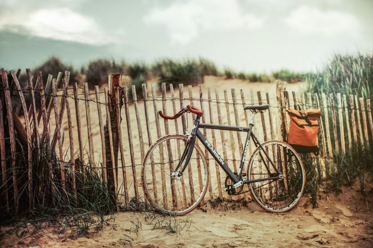 Balade à vélo à Trégastel
