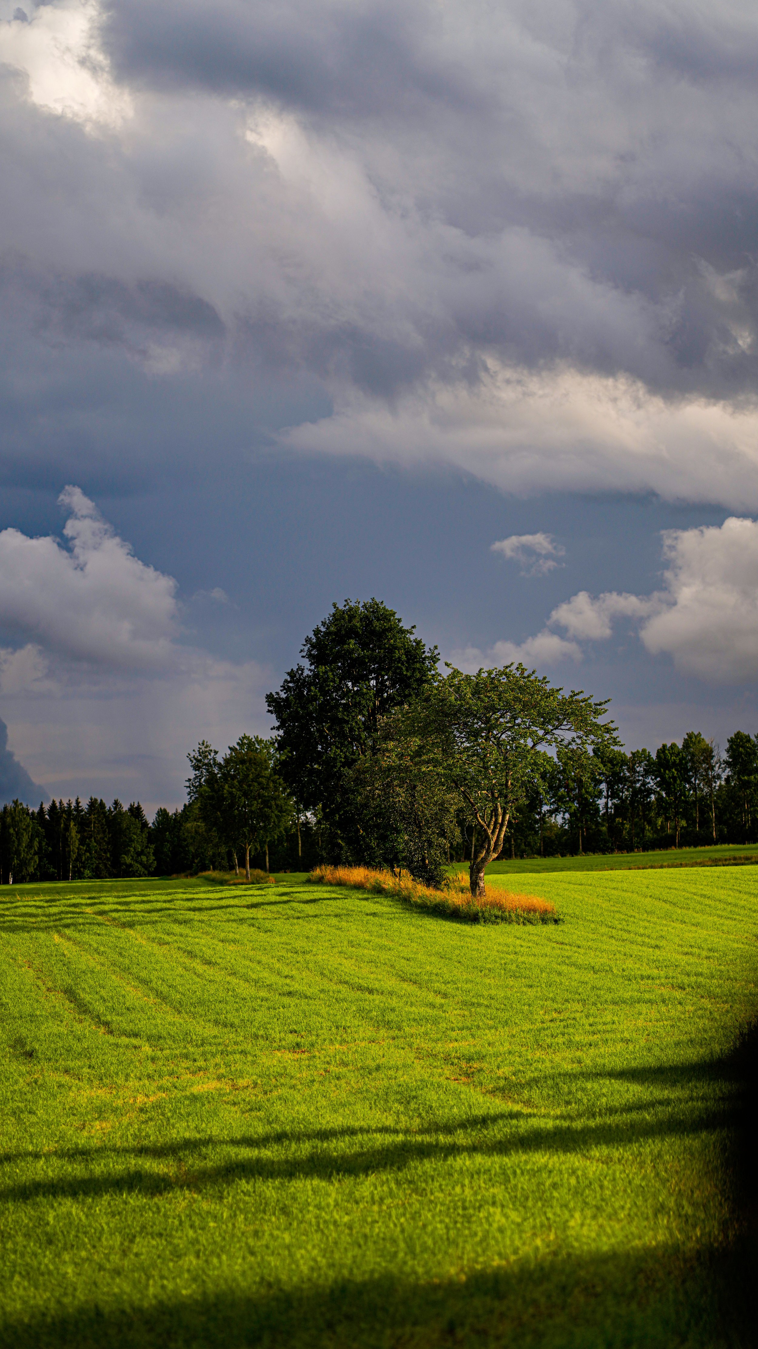 Insändare: Ekerö kommun både kan och ska utvecklas naturligt&nbsp;