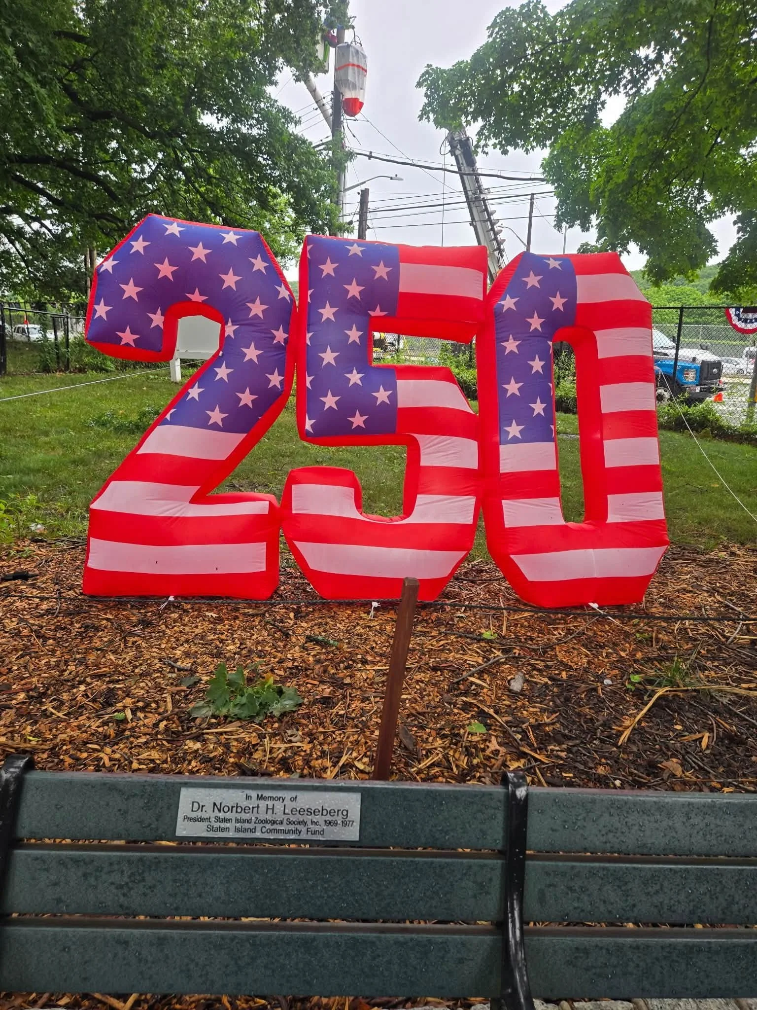 743796570_1336713815332227_2633981537876413831_n.jpg